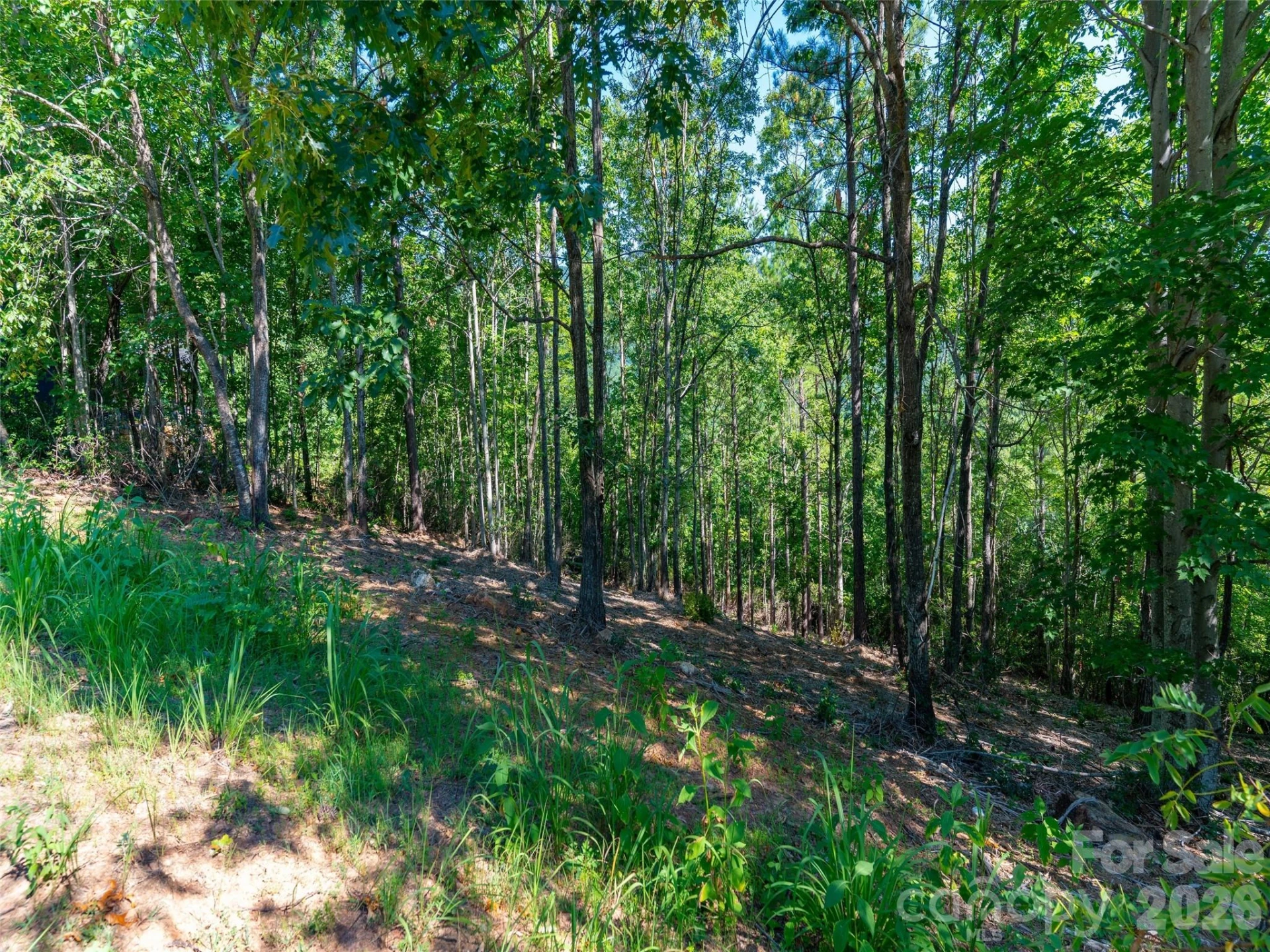 2026 Deep Gap Farm Road - Photo 23