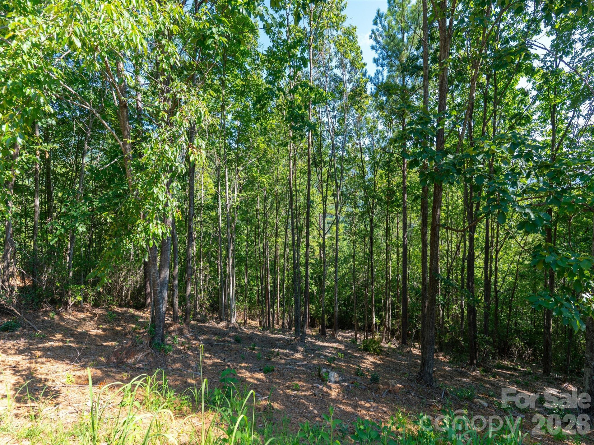 2026 Deep Gap Farm Road - Photo 24