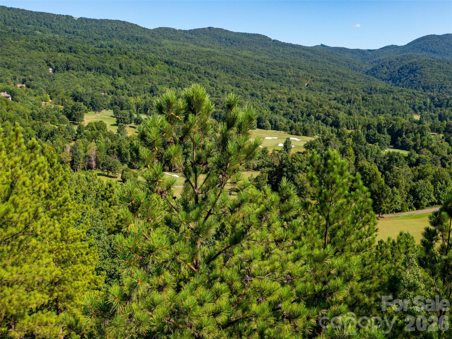 2026 Deep Gap Farm Road - Photo 26