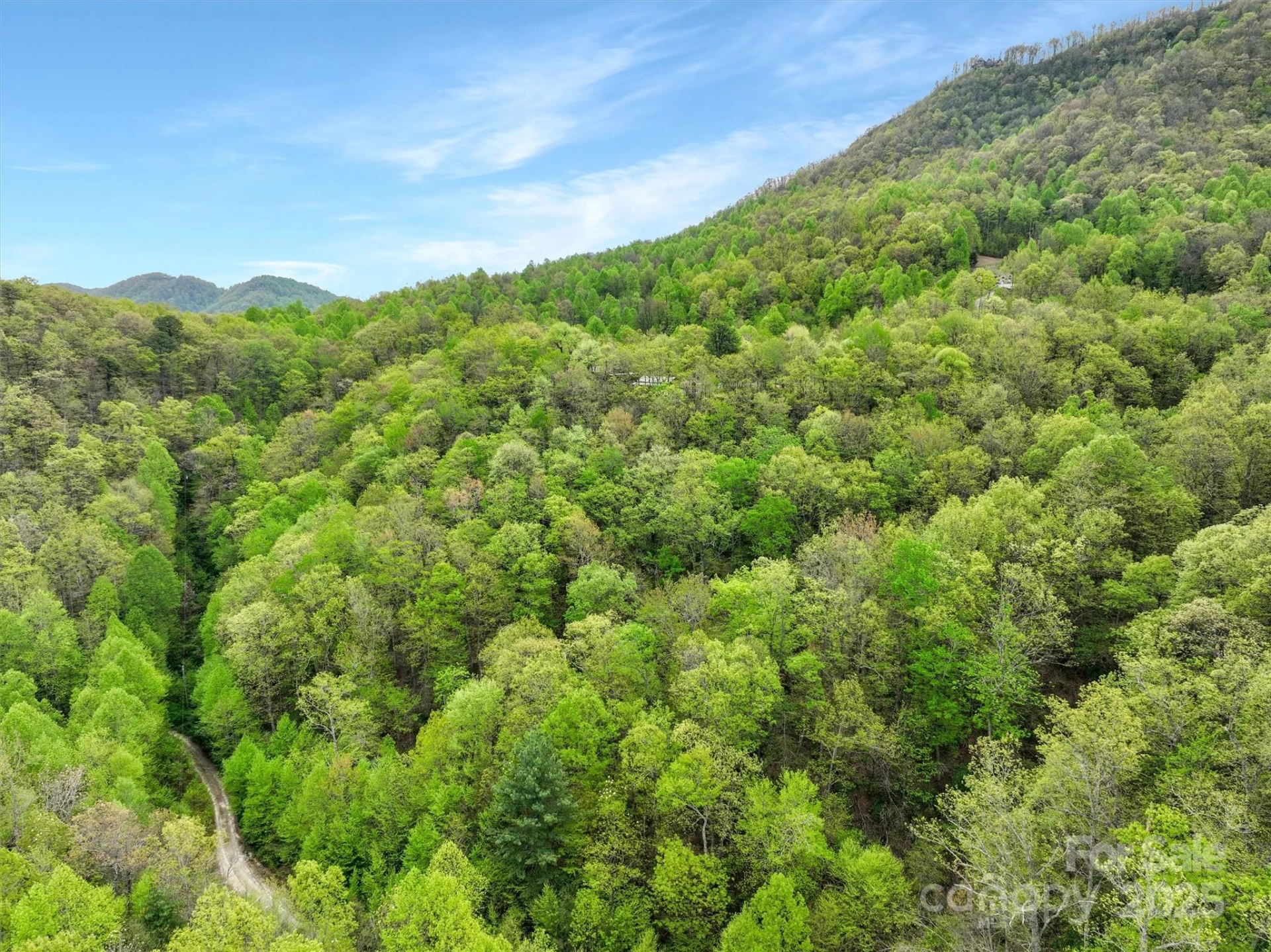 0 Bird Creek Estates Road - Photo 2