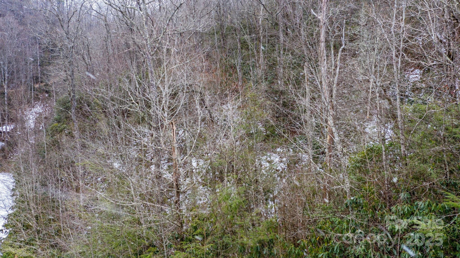 0 Bird Creek Estates Road - Photo 11