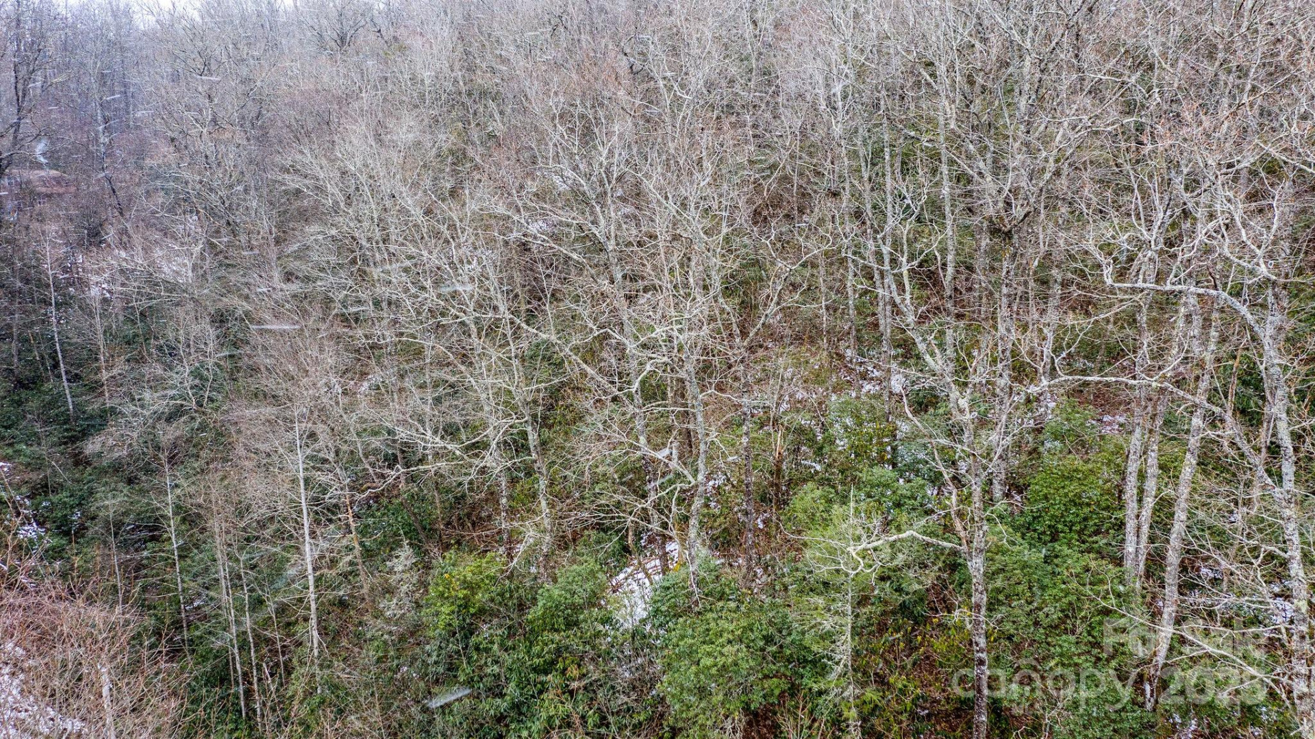 0 Bird Creek Estates Road - Photo 12