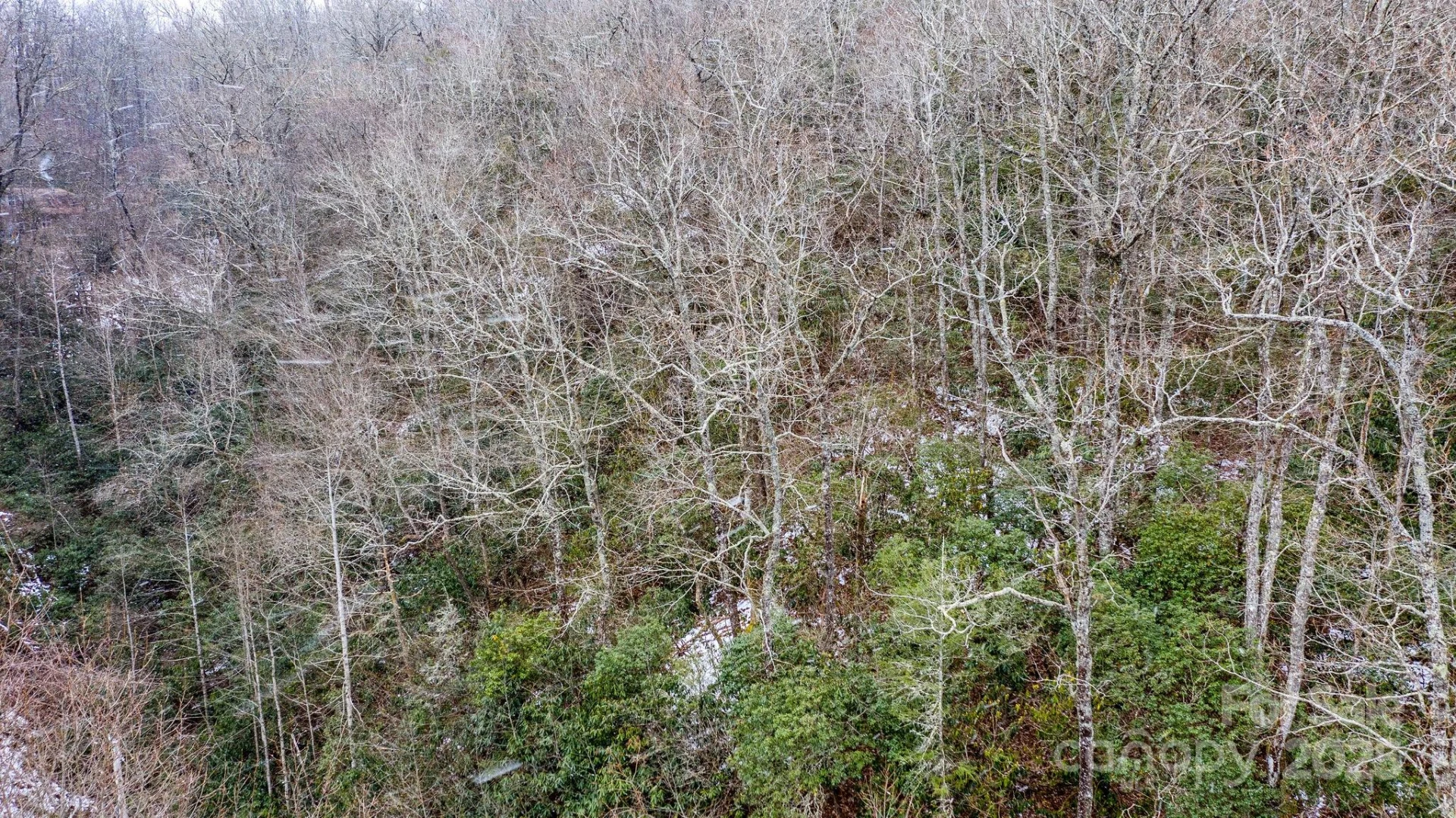 0 Bird Creek Estates Road - Photo 12