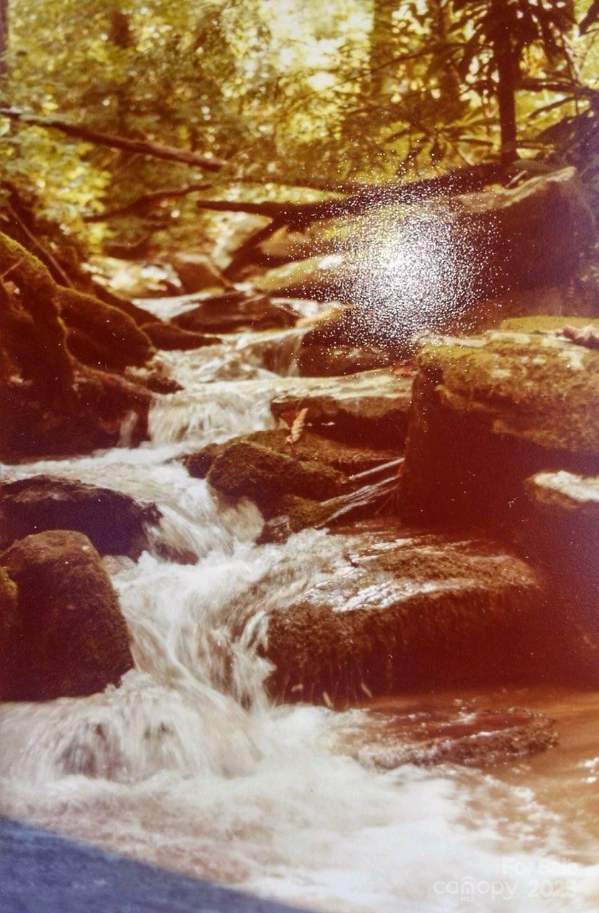 0 Bird Creek Estates Road - Photo 18