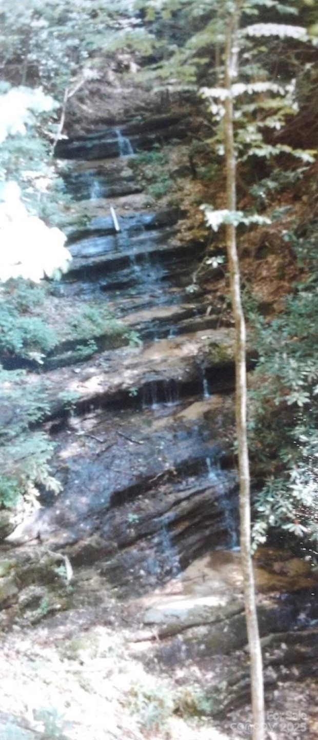 0 Bird Creek Estates Road - Photo 20