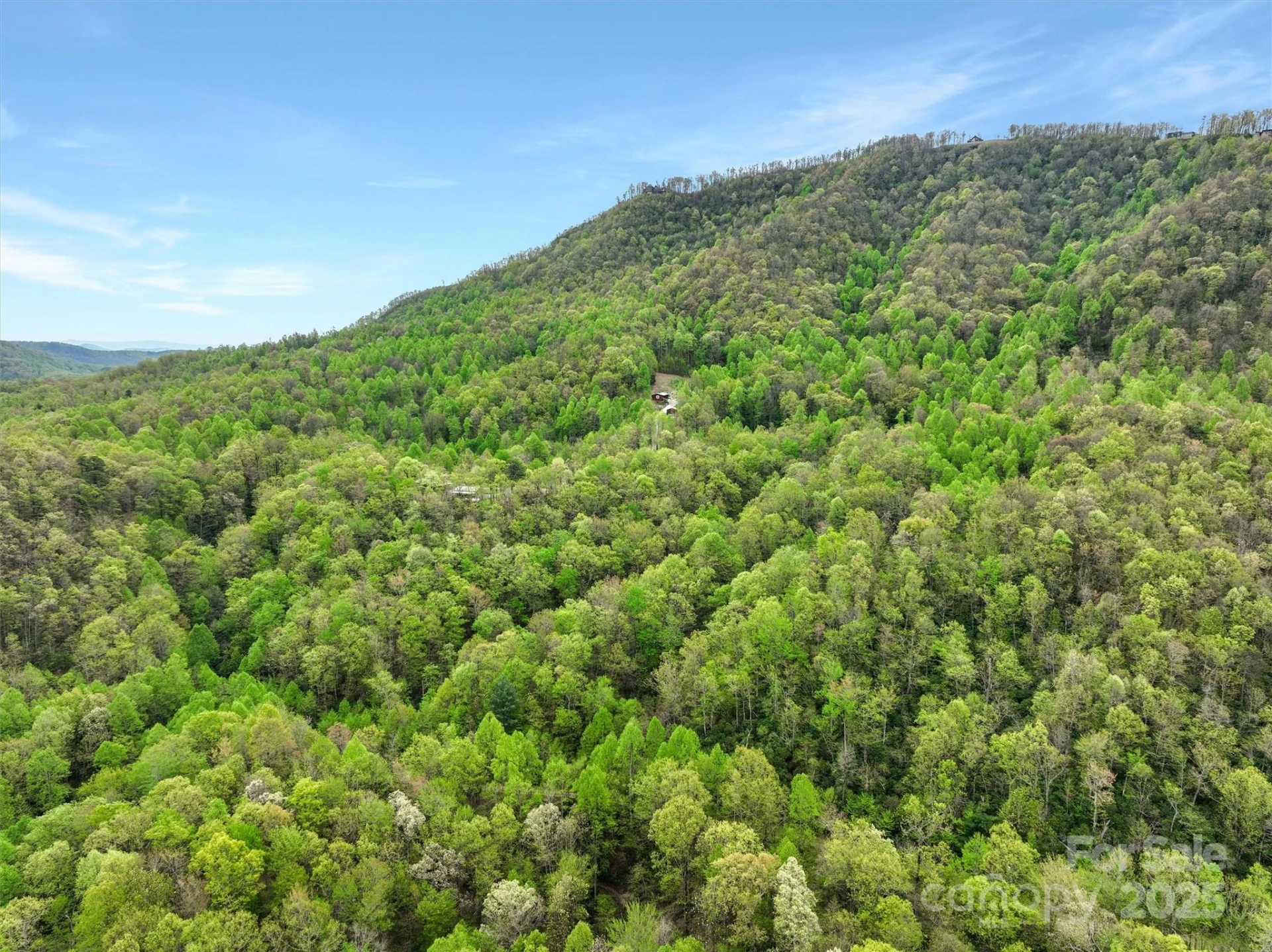 0 Bird Creek Estates Road - Photo 3