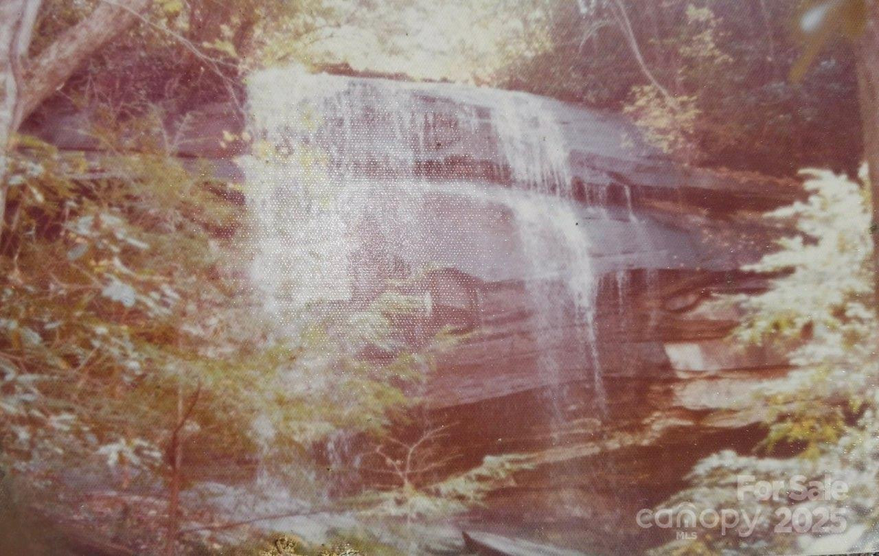 0 Bird Creek Estates Road - Photo 21