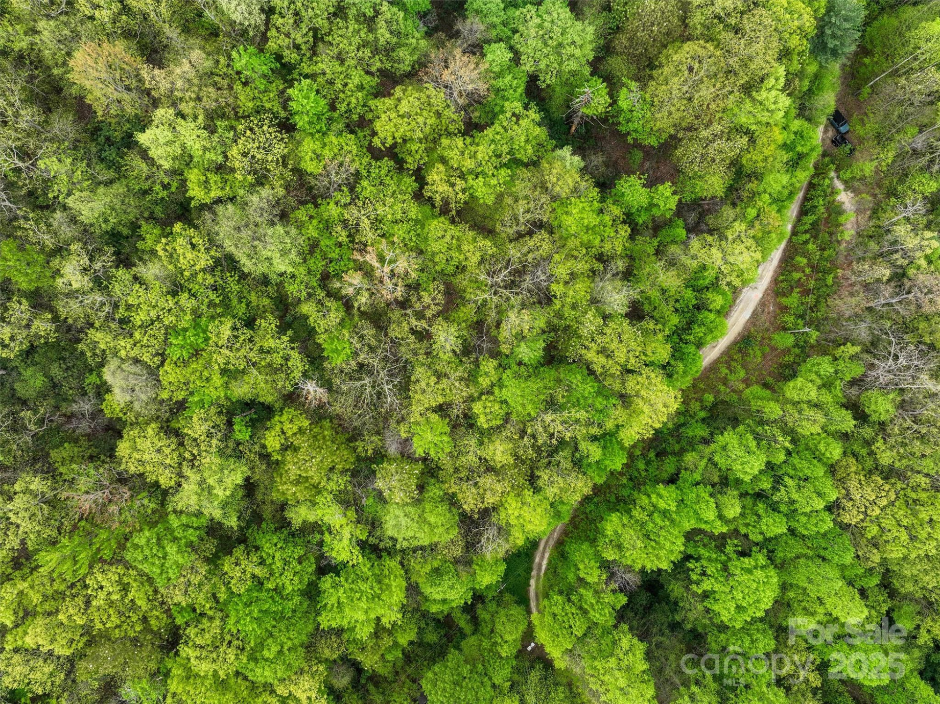 0 Bird Creek Estates Road - Photo 4