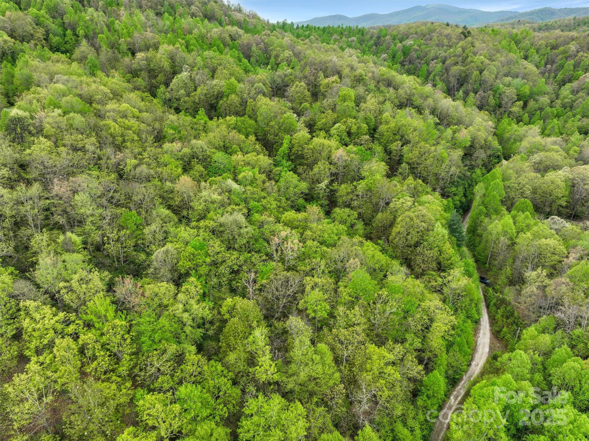 0 Bird Creek Estates Road - Photo 5