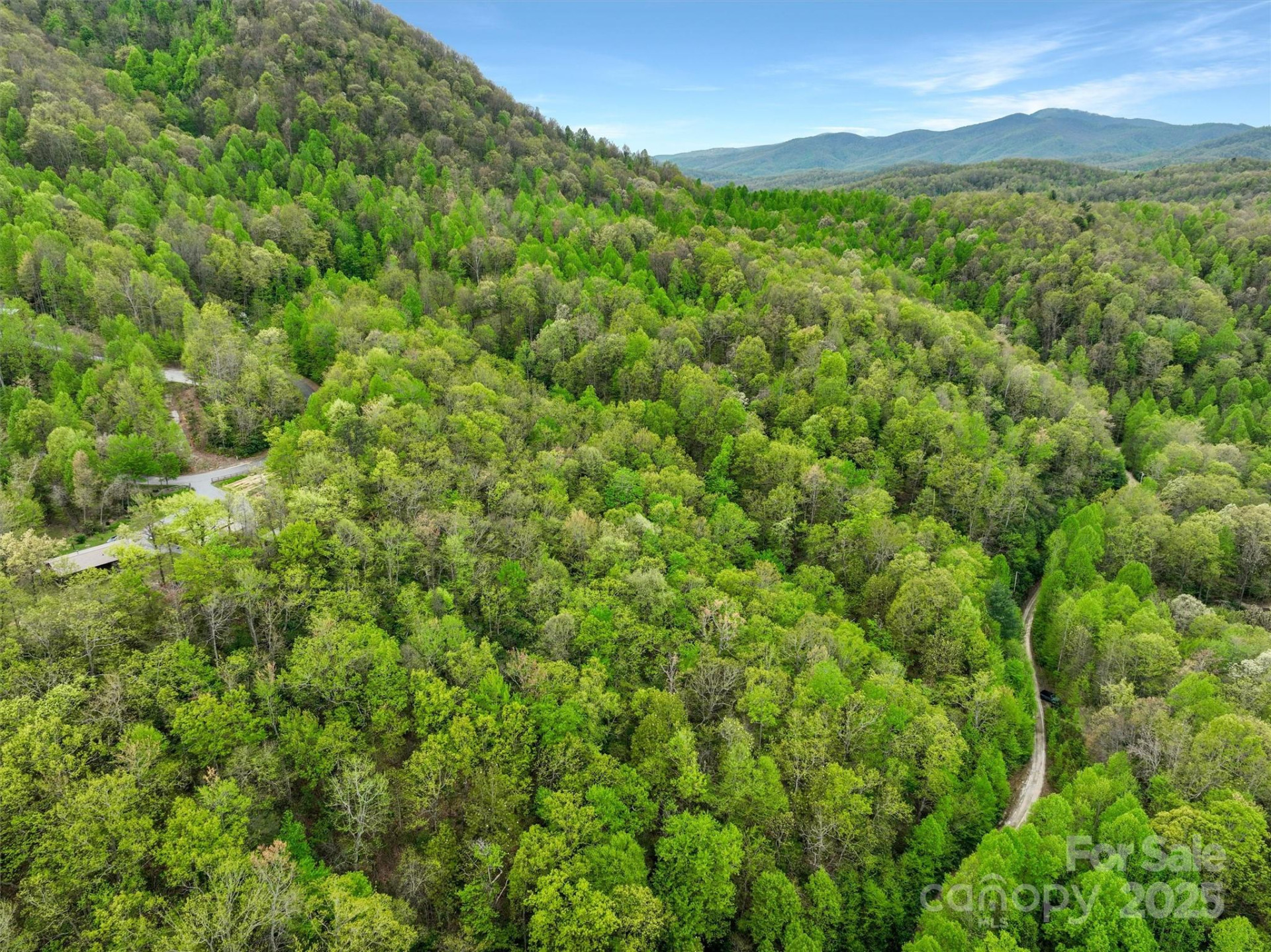 0 Bird Creek Estates Road - Photo 6