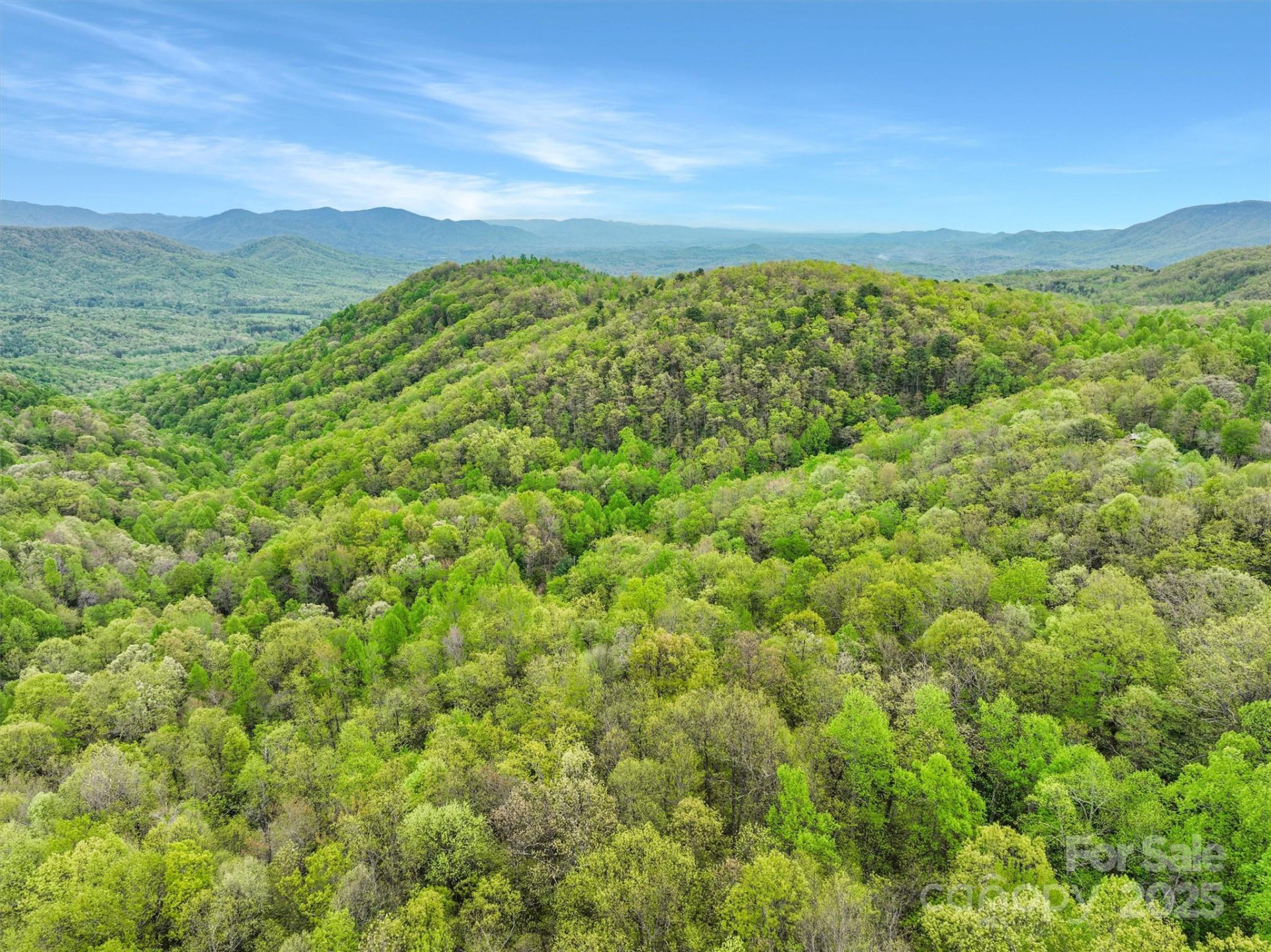 0 Bird Creek Estates Road - Photo 7