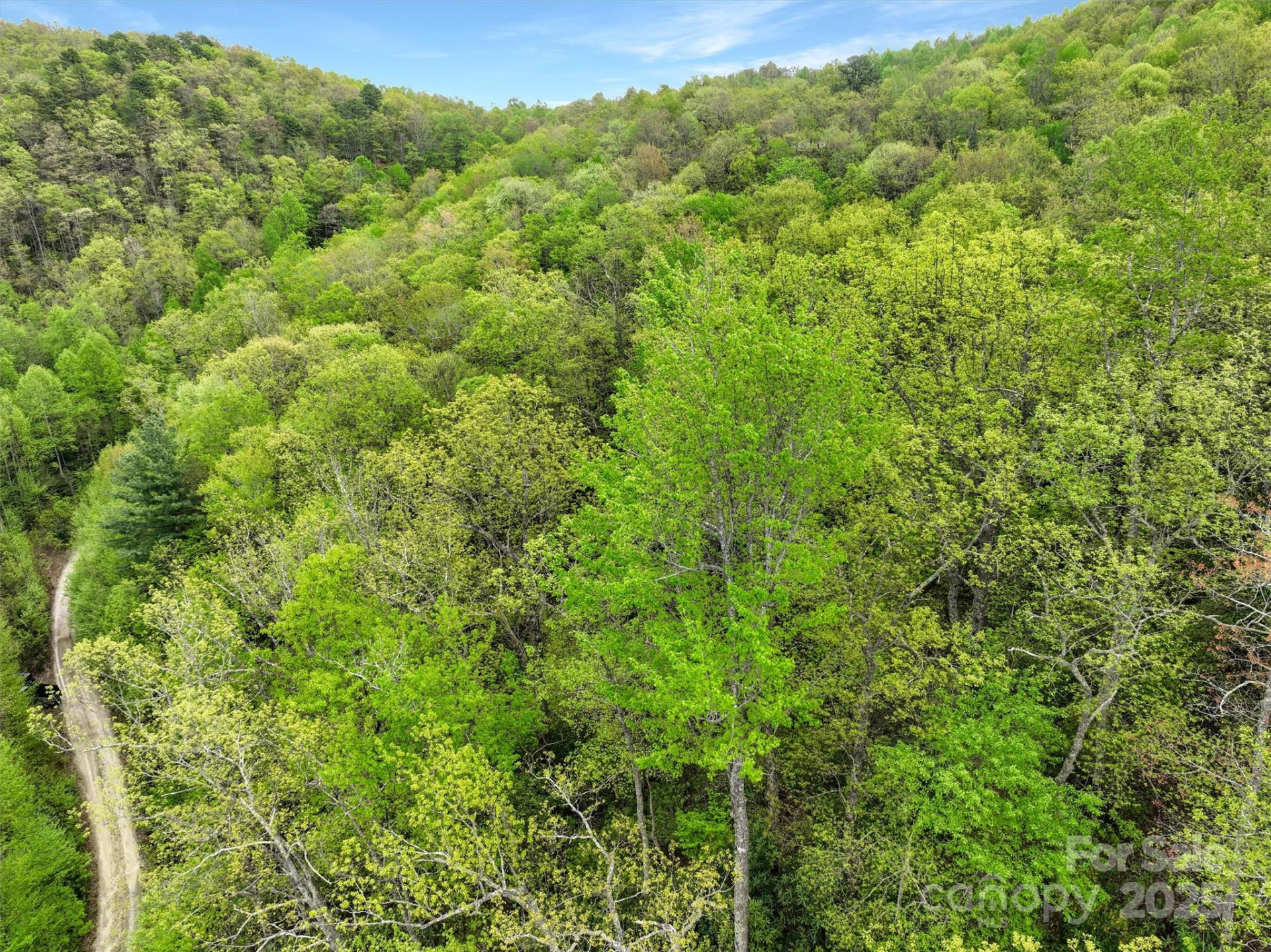 0 Bird Creek Estates Road - Photo 8