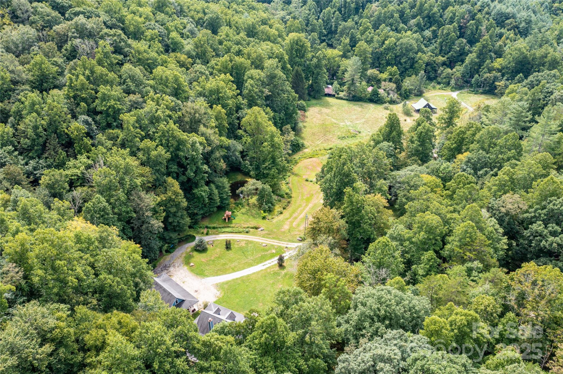 226 Wildcat Mountain Trail - Photo 3