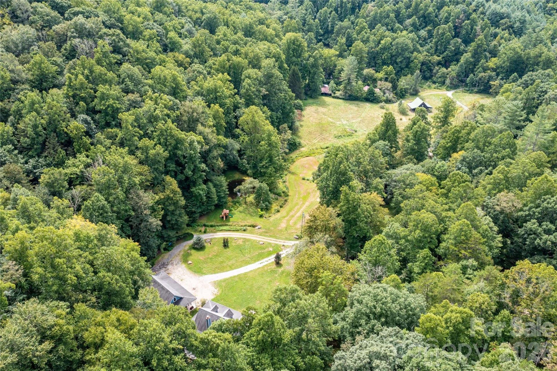 226 Wildcat Mountain Trail - Photo 5