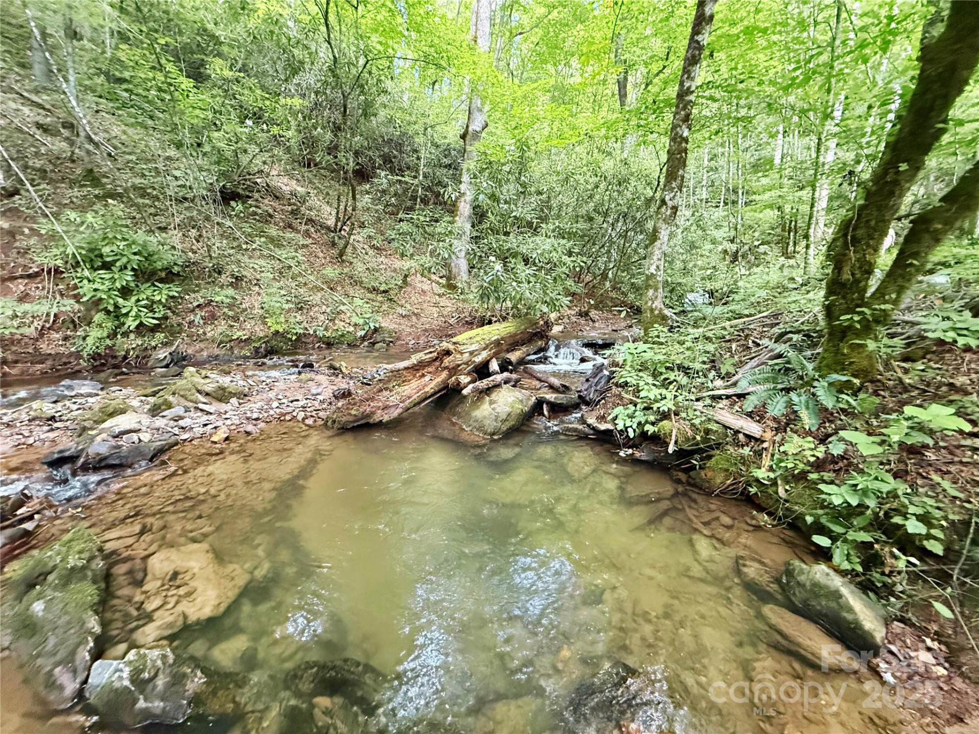 226 Wildcat Mountain Trail - Photo 4