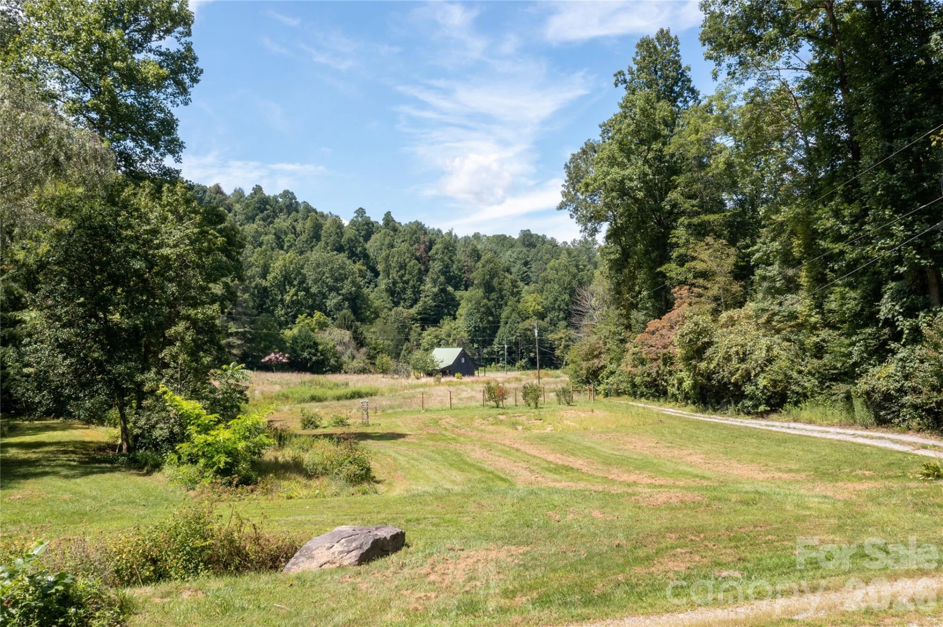 226 Wildcat Mountain Trail - Photo 71