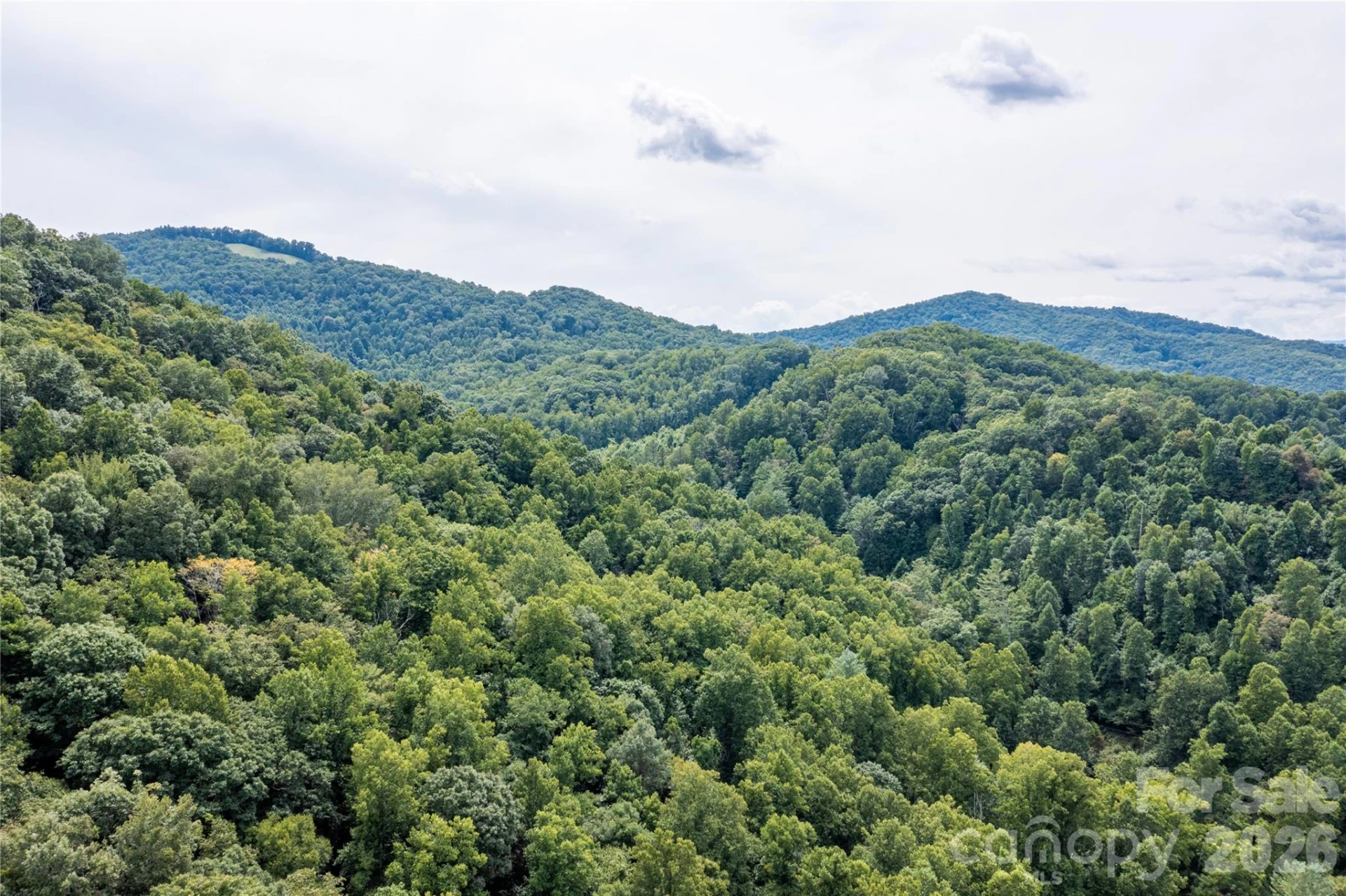 226 Wildcat Mountain Trail - Photo 75