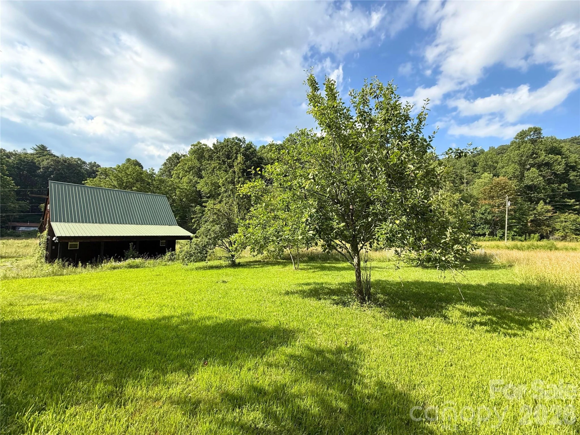 226 Wildcat Mountain Trail - Photo 77