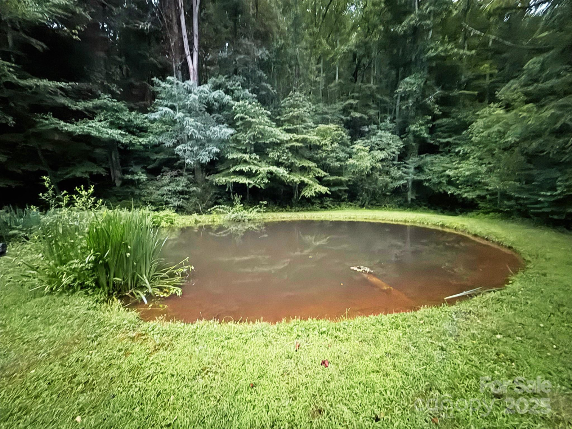 226 Wildcat Mountain Trail - Photo 40