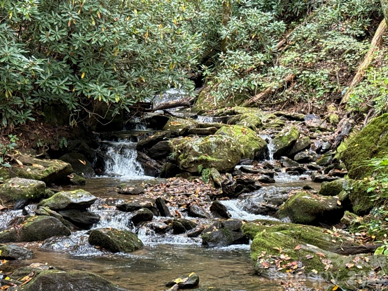 226 Wildcat Mountain Trail - Photo 9