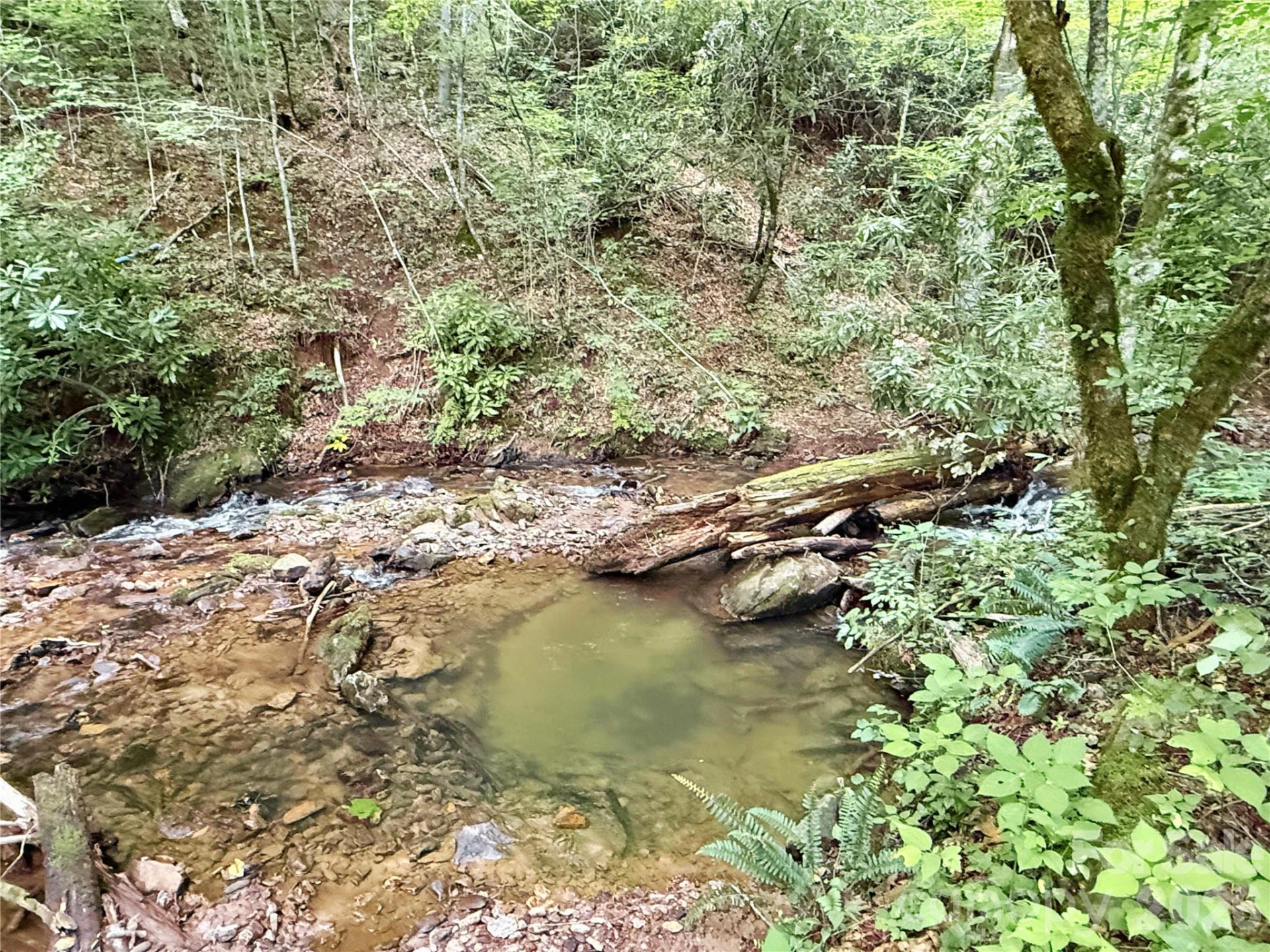 226 Wildcat Mountain Trail - Photo 85