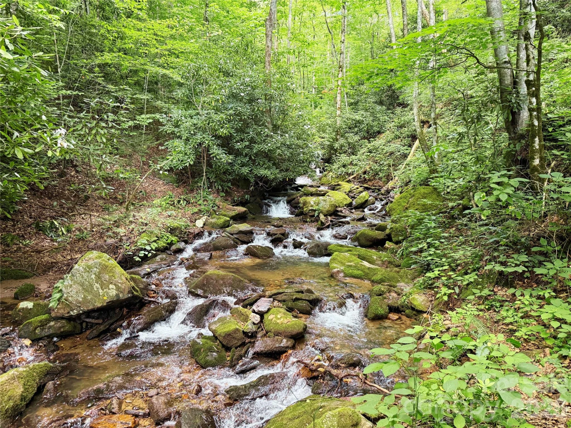 226 Wildcat Mountain Trail - Photo 87