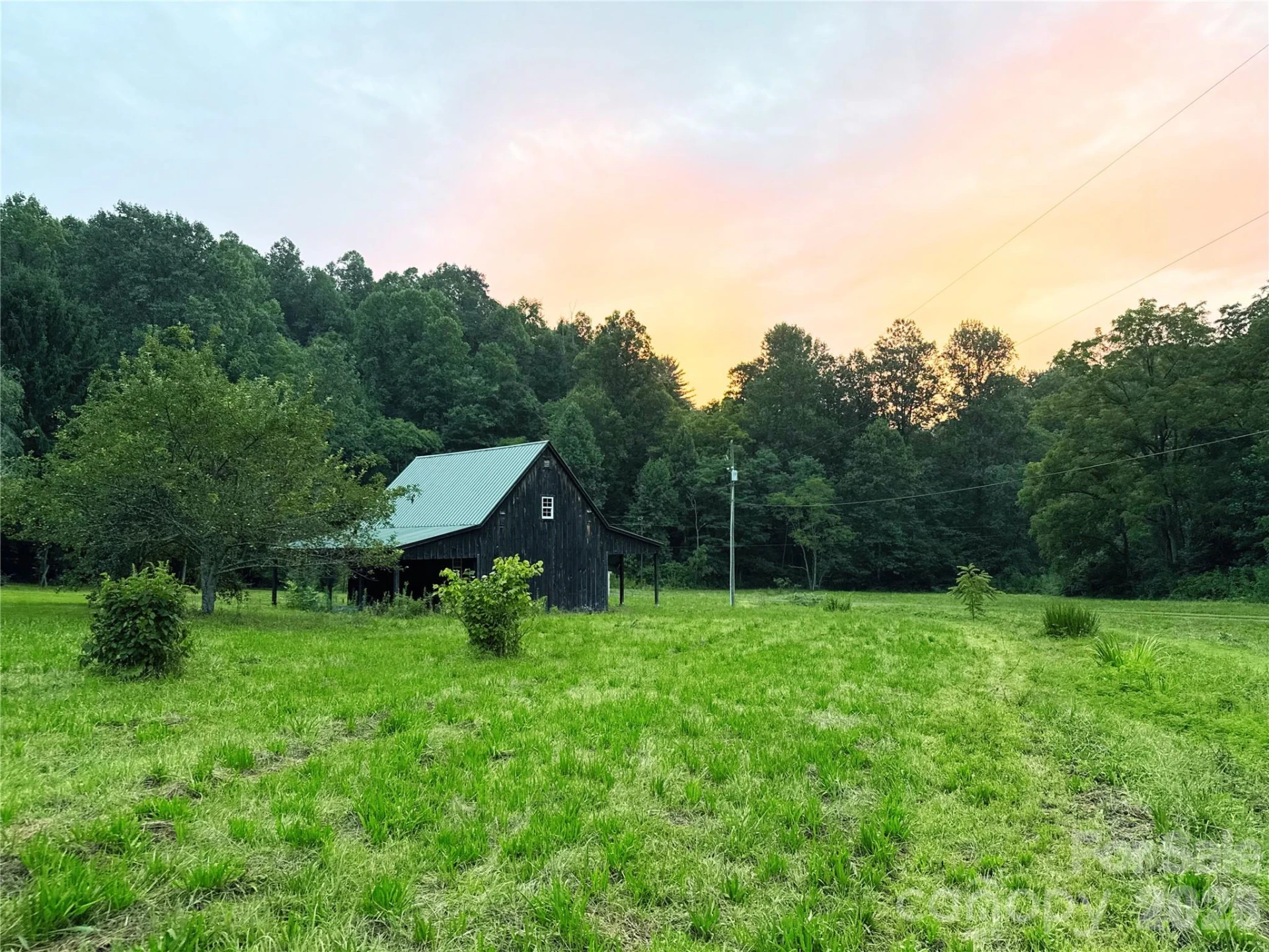 226 Wildcat Mountain Trail - Photo 11