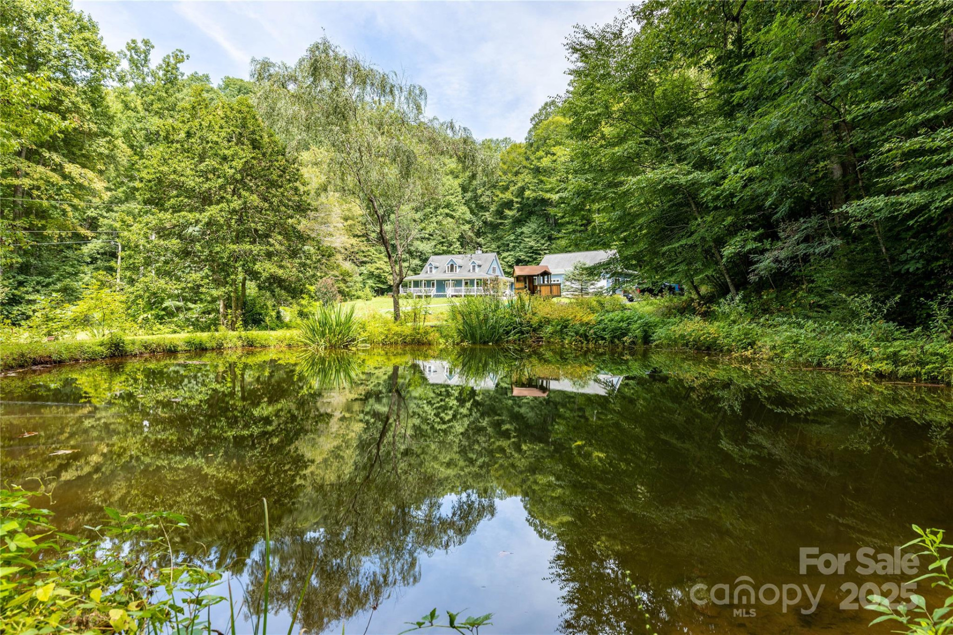 226 Wildcat Mountain Trail - Photo 7