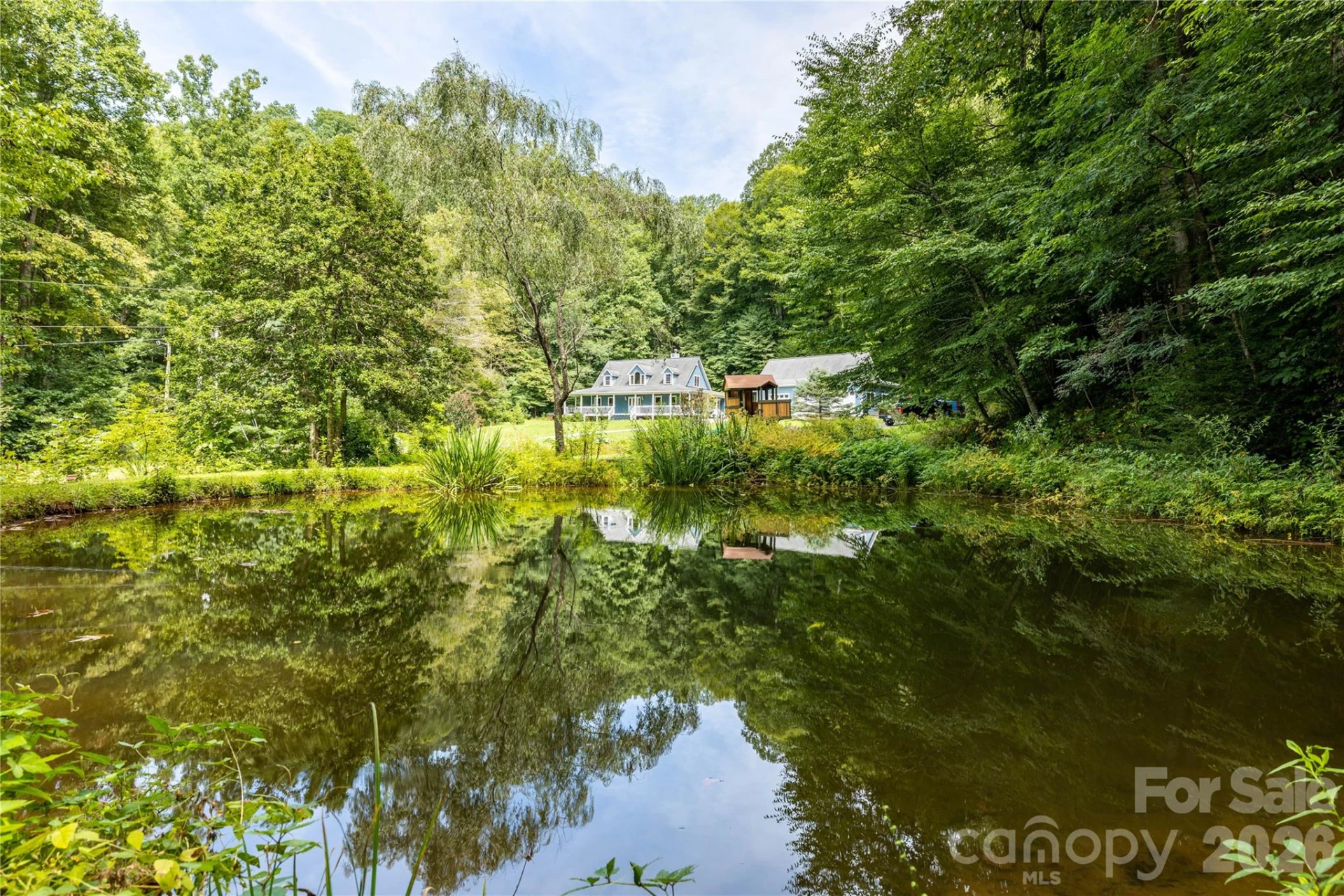 226 Wildcat Mountain Trail - Photo 15