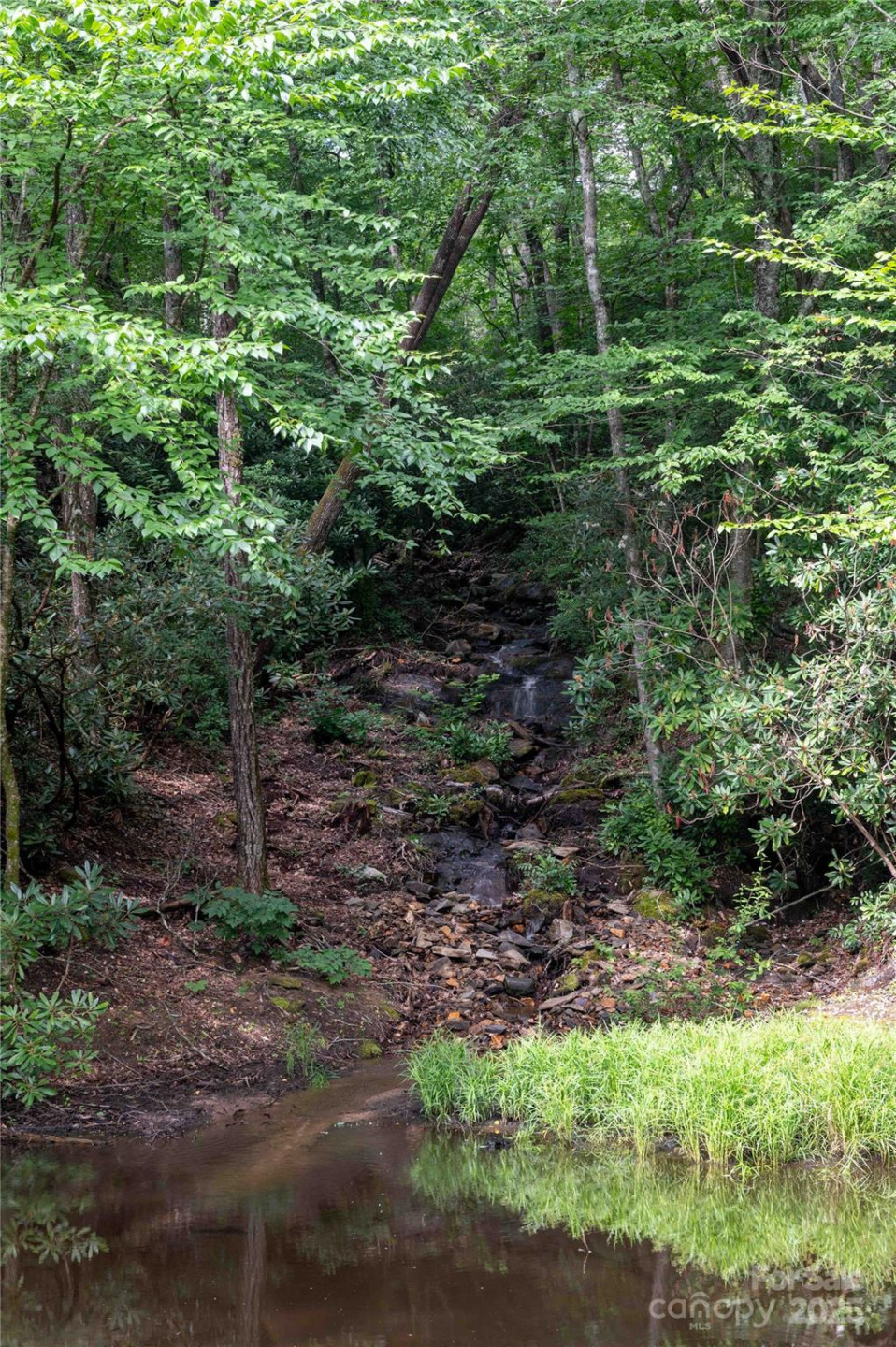 238 Falling Water Drive - Photo 5