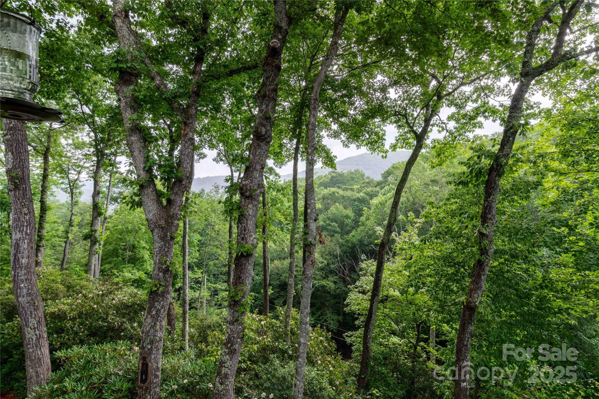 238 Falling Water Drive - Photo 41