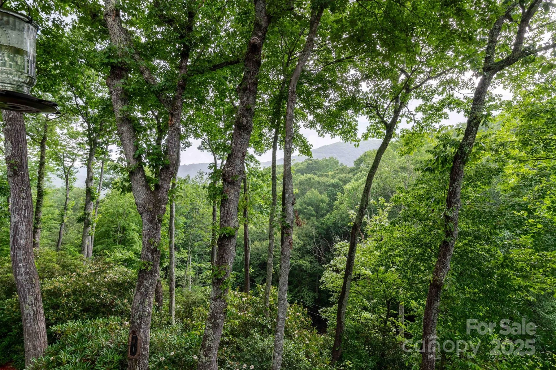 238 Falling Water Drive - Photo 41