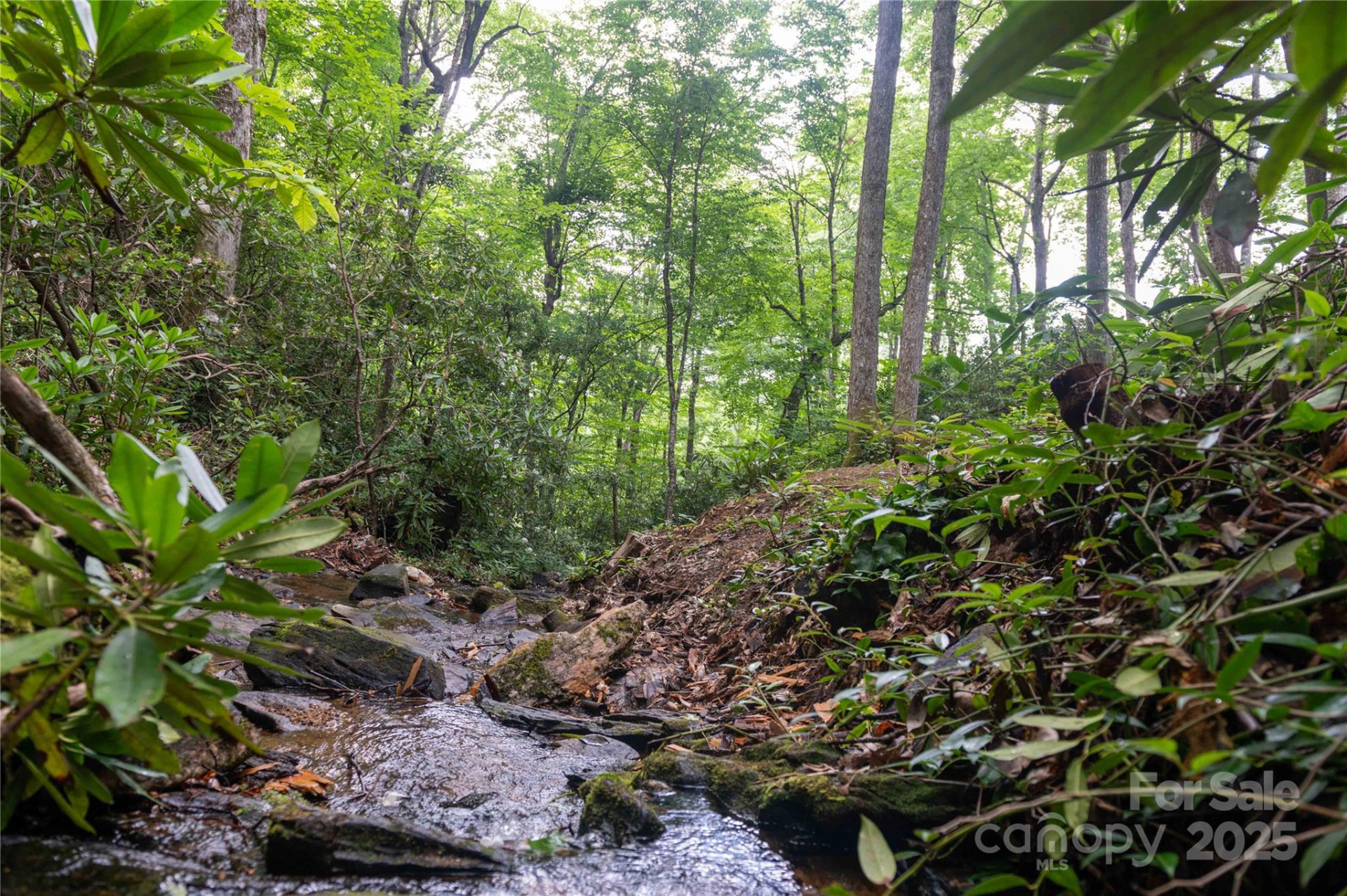 238 Falling Water Drive - Photo 46