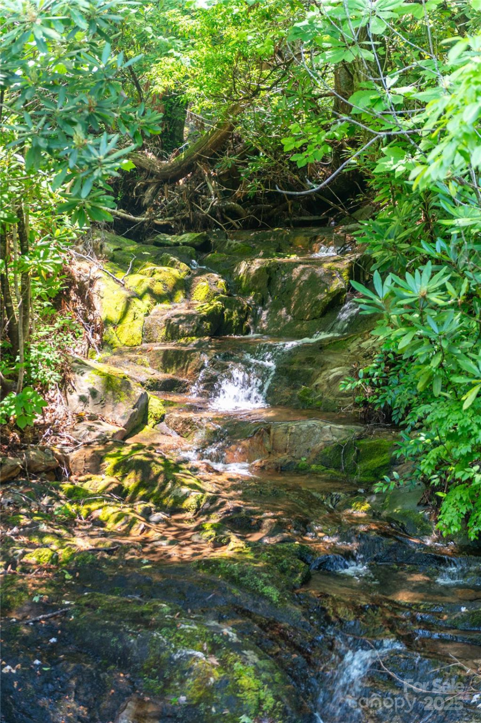 238 Falling Water Drive - Photo 47