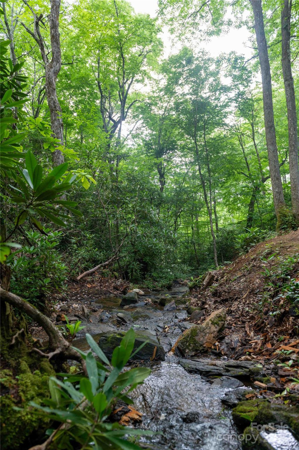 238 Falling Water Drive - Photo 8