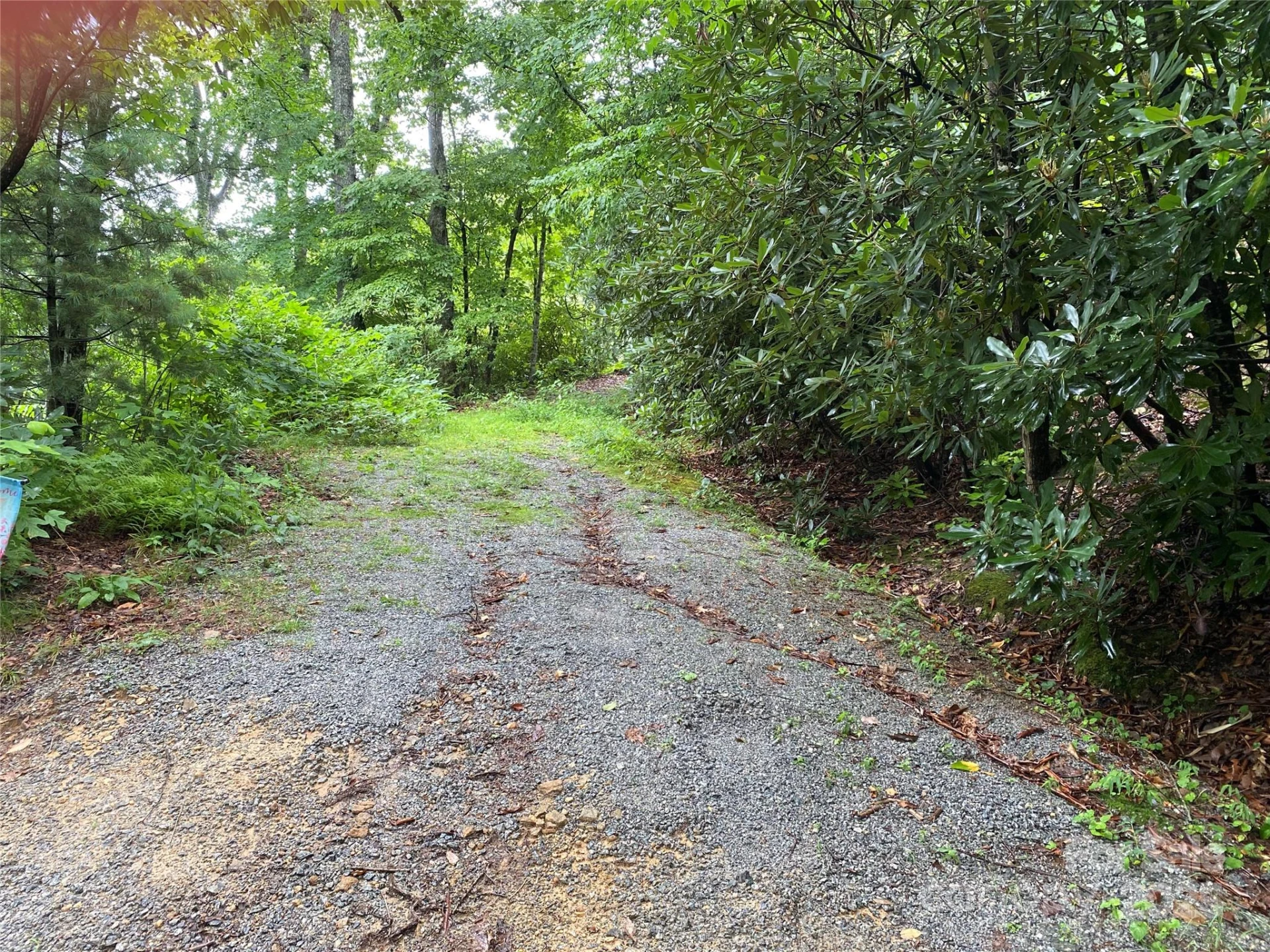 00000 Viking Trail - Photo 3