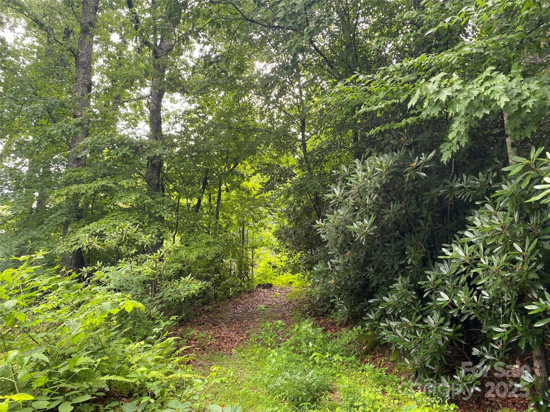 00000 Viking Trail - Photo 4