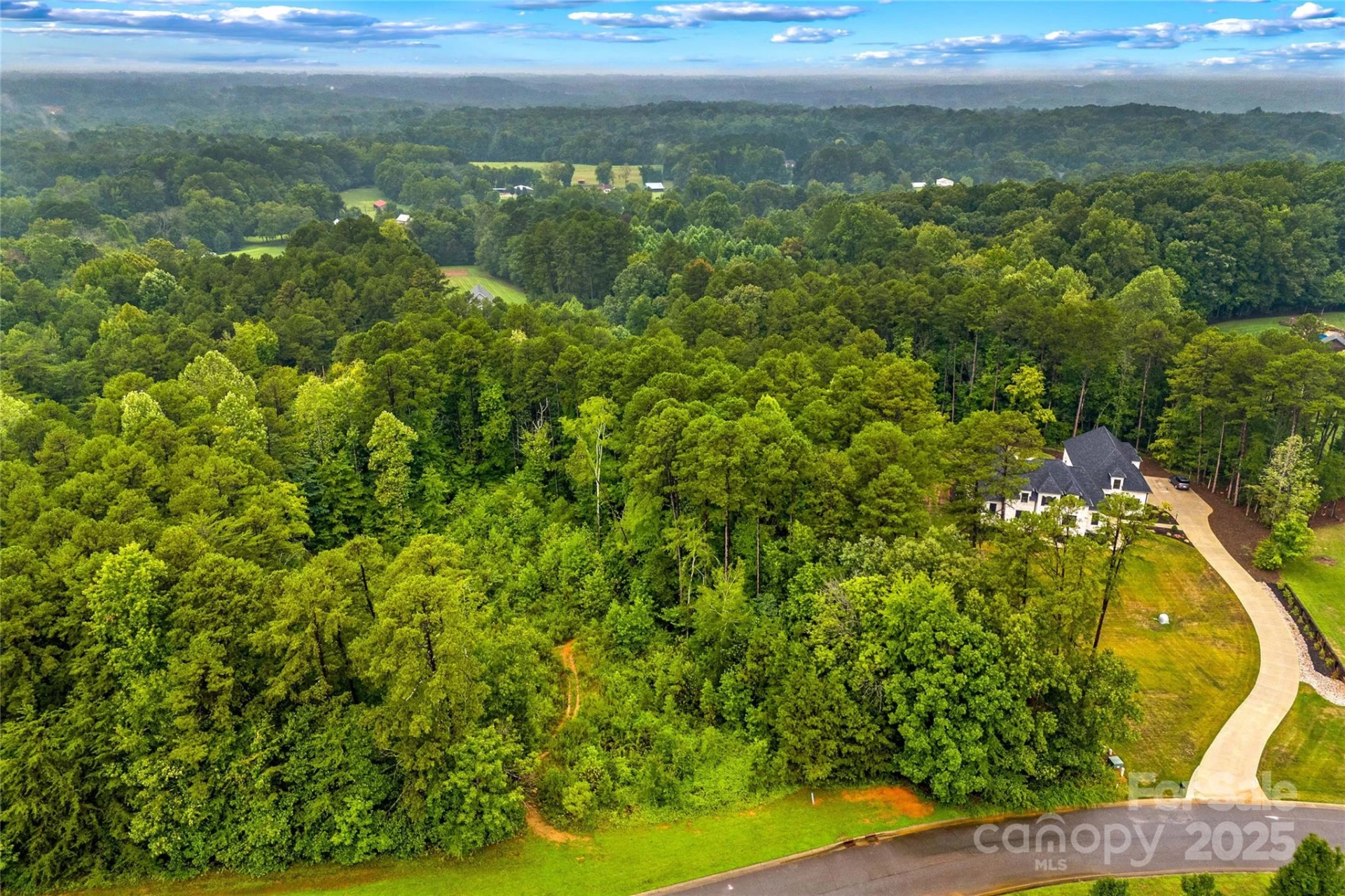 165 Wellington Estates Drive - Photo 3