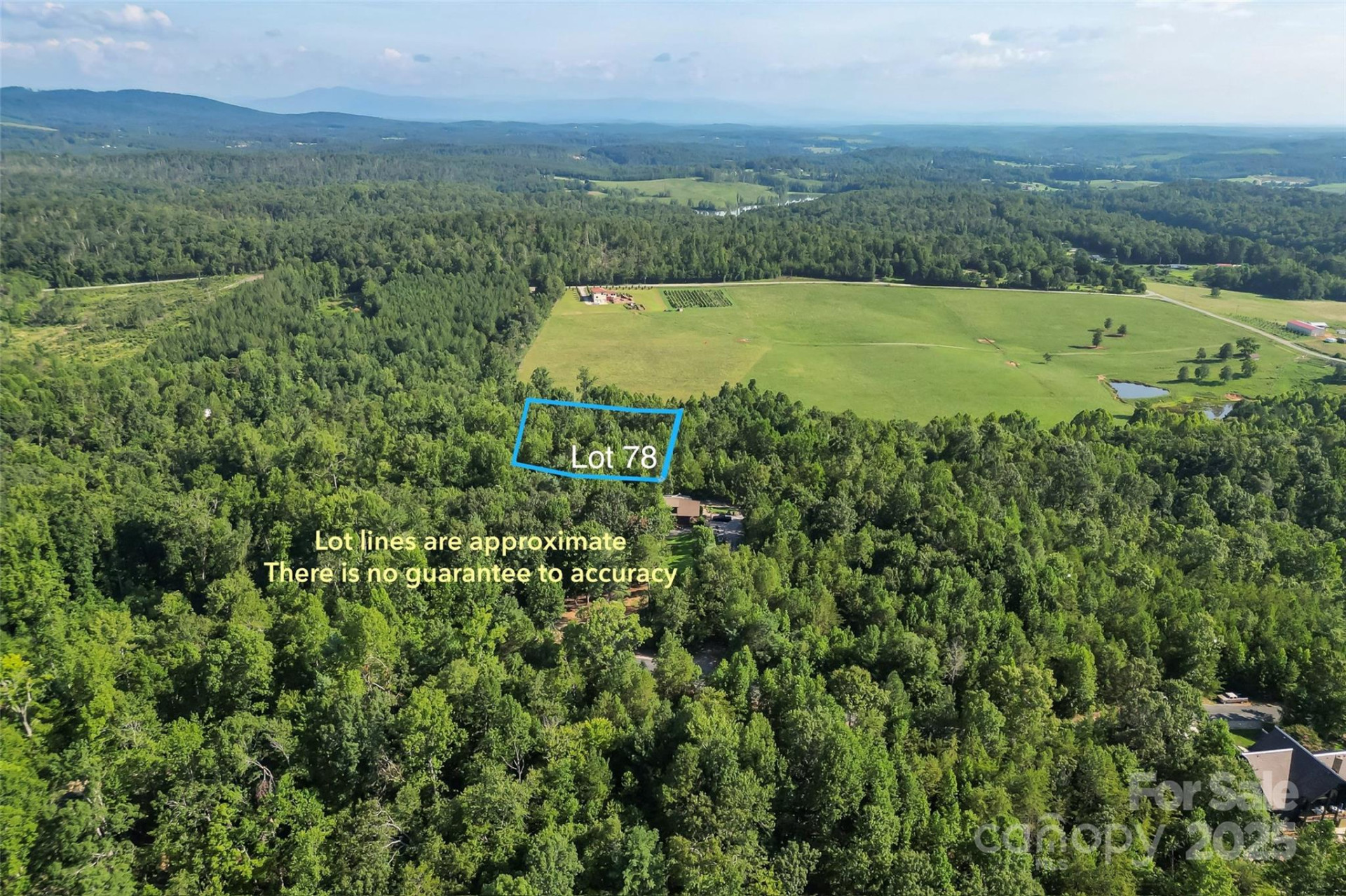 VL Horizon Drive - Photo 2