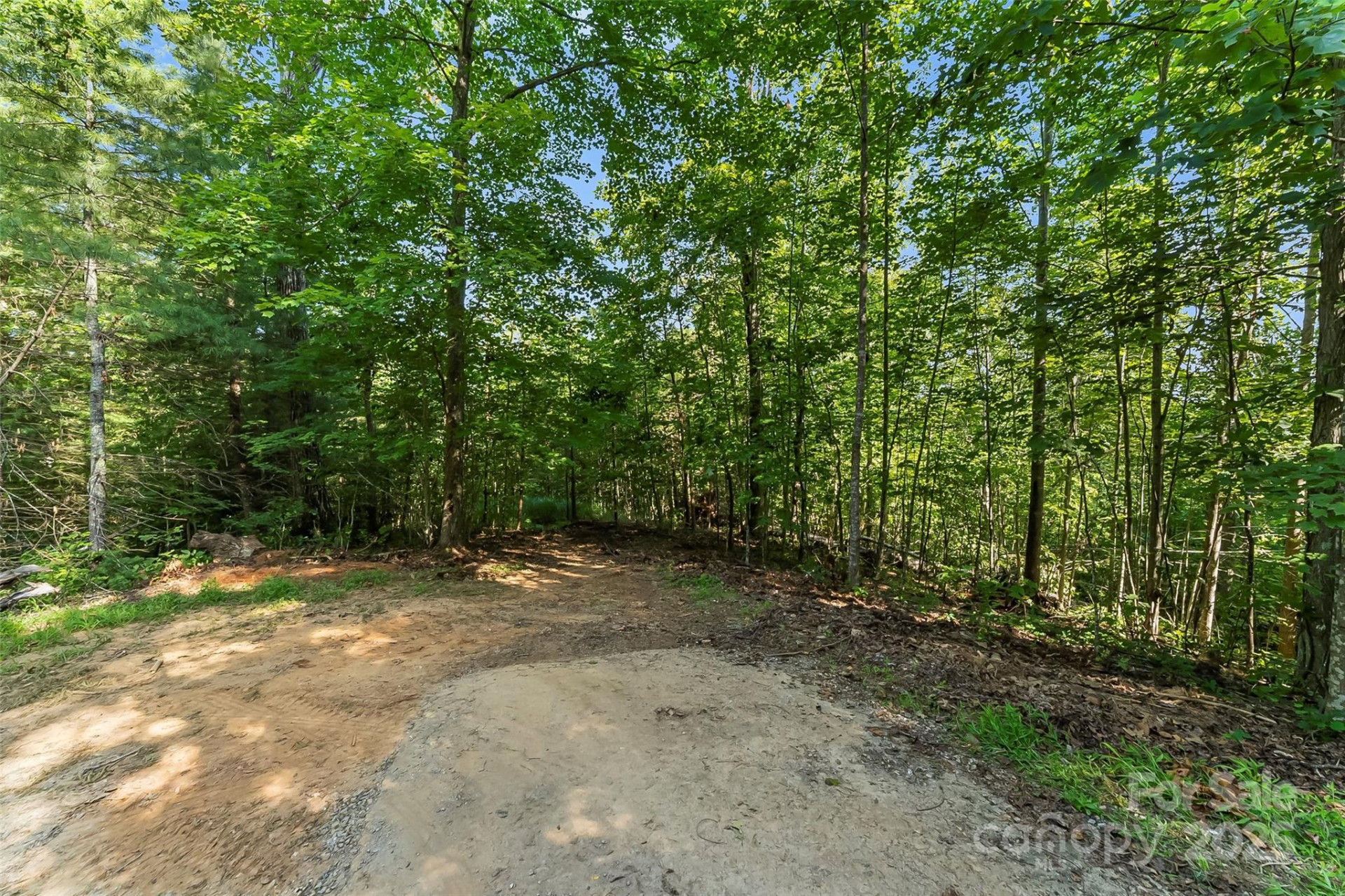 VL Horizon Drive - Photo 4