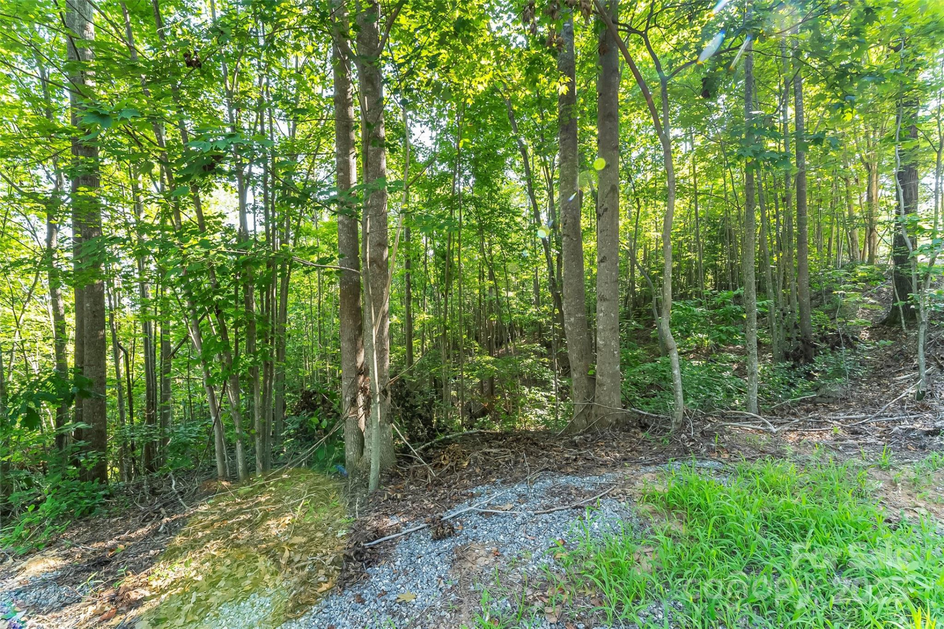 VL Horizon Drive - Photo 5