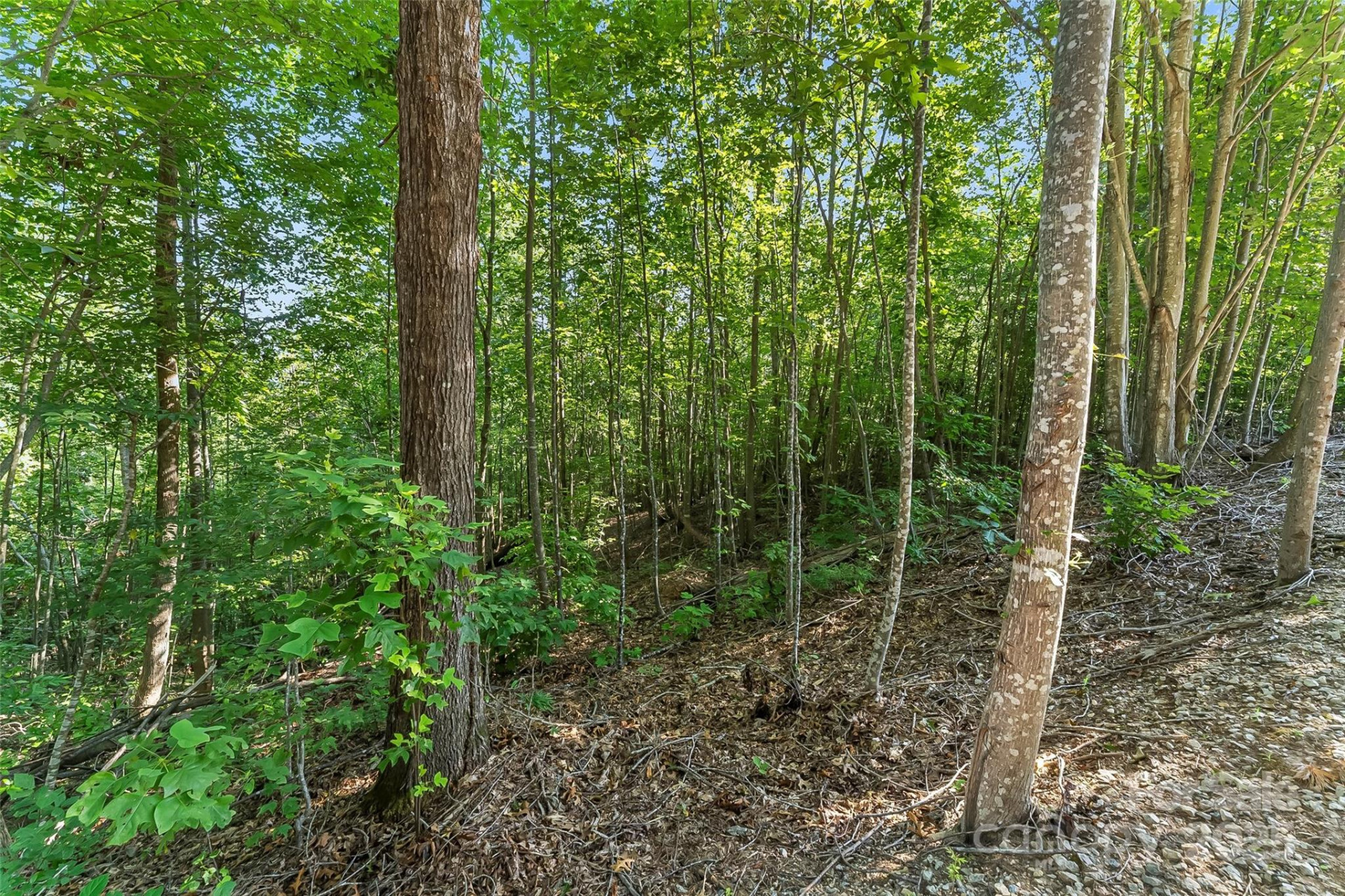 VL Horizon Drive - Photo 6