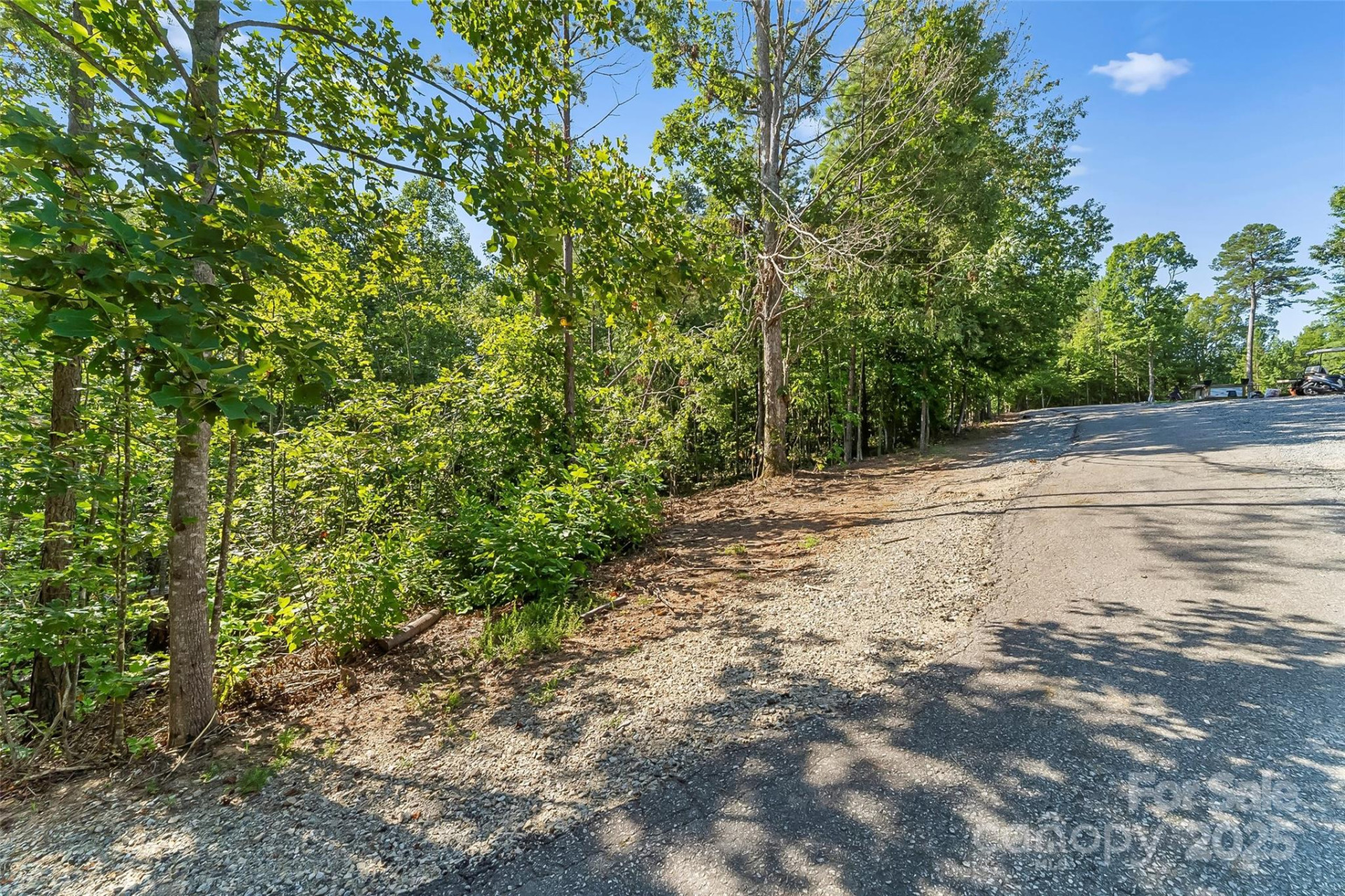 VL Horizon Drive - Photo 7