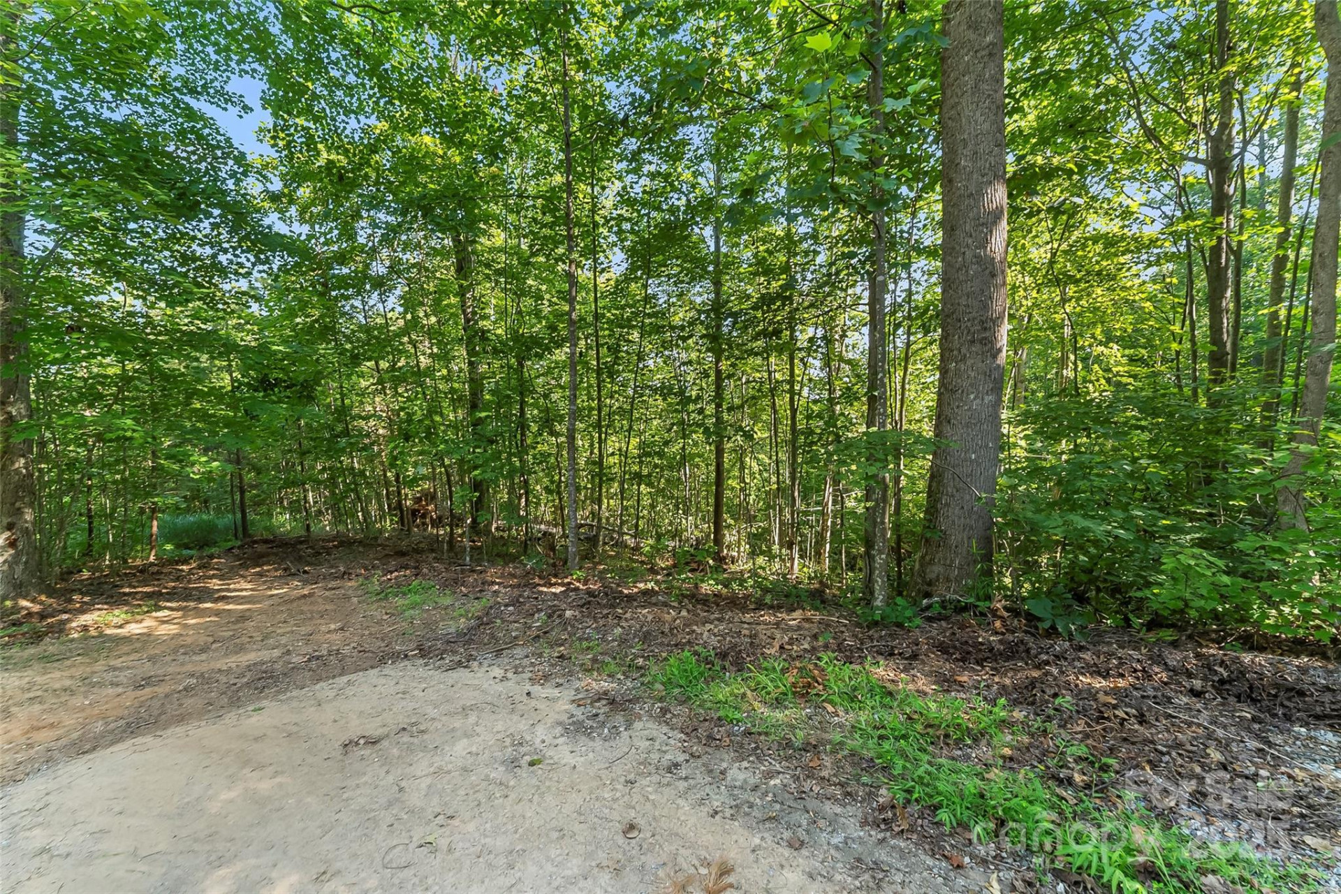 VL Horizon Drive - Photo 8