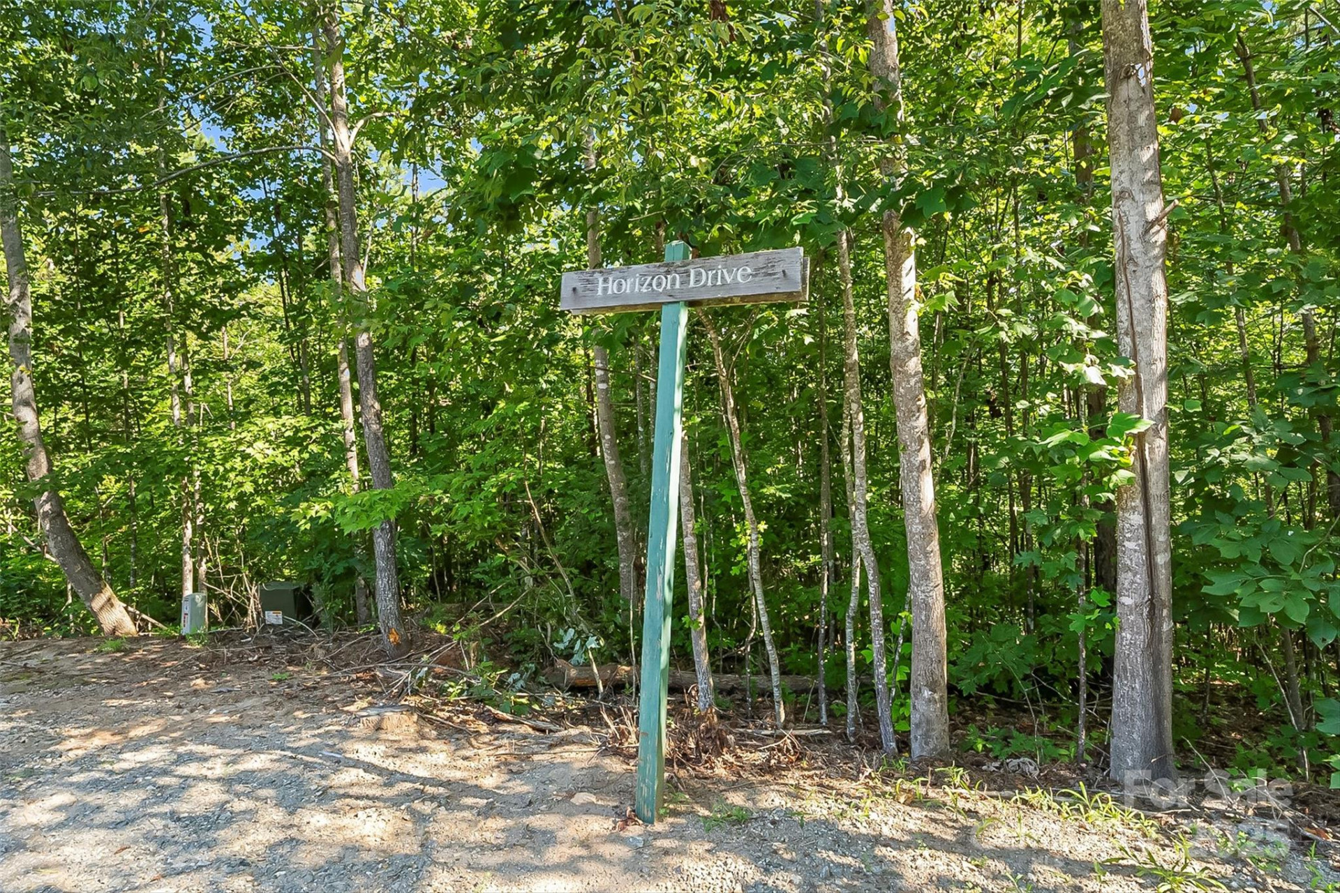 VL Horizon Drive - Photo 9