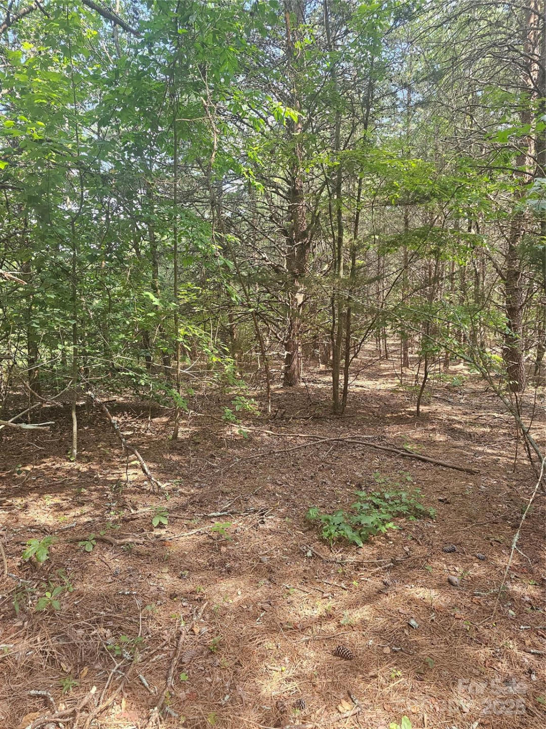 0 Green Creek Drive - Photo 3