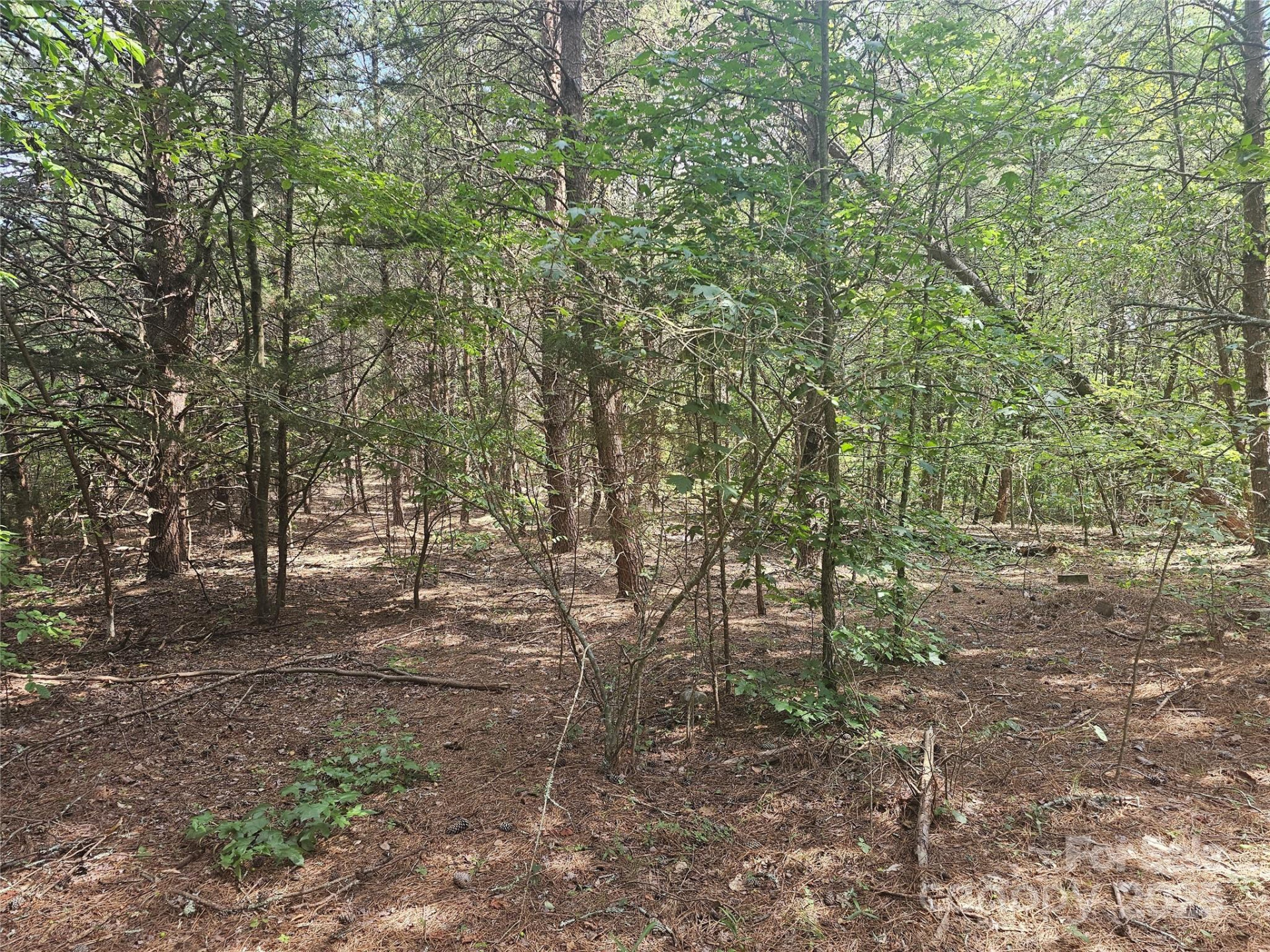 0 Green Creek Drive - Photo 4