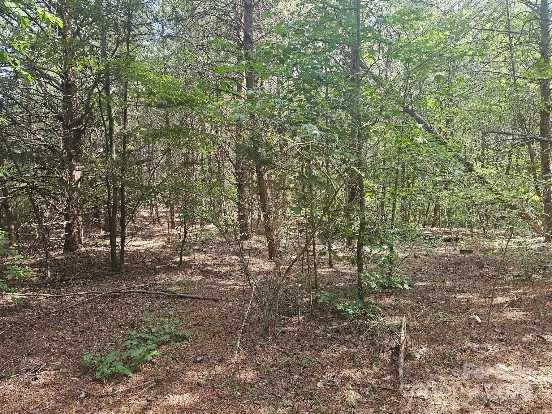 0 Green Creek Drive - Photo 4