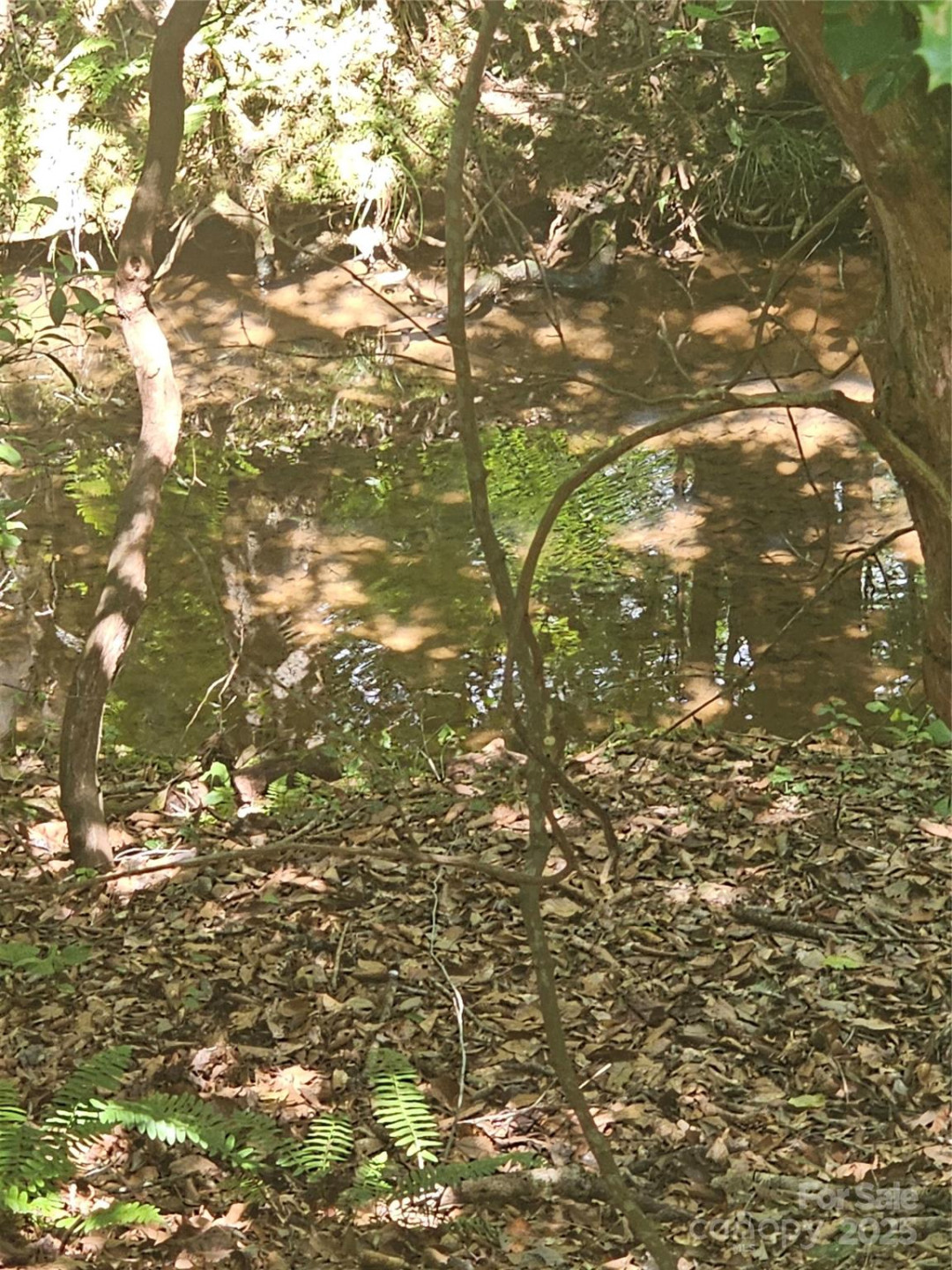 0 Green Creek Drive - Photo 5