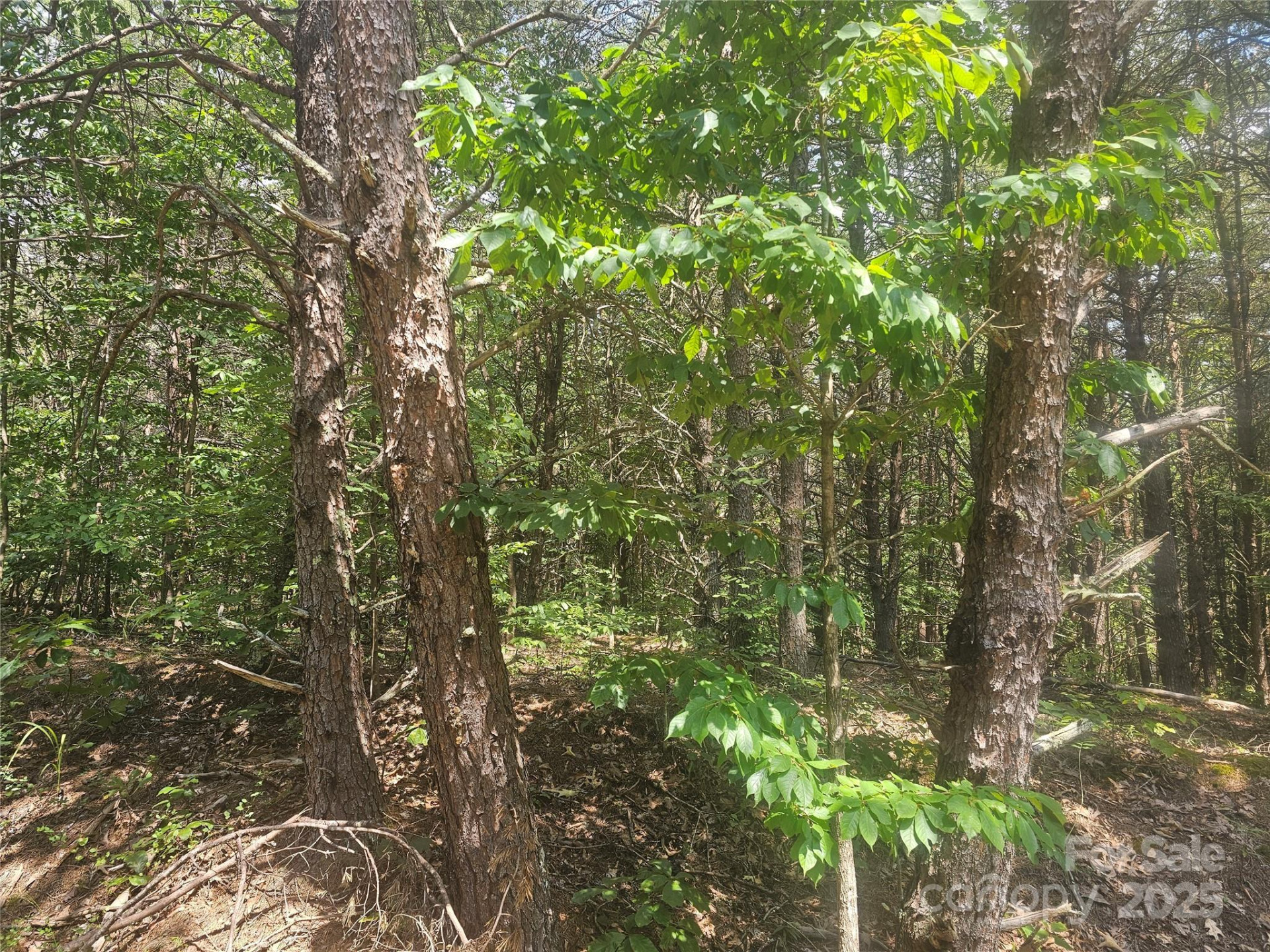 0 Green Creek Drive - Photo 6